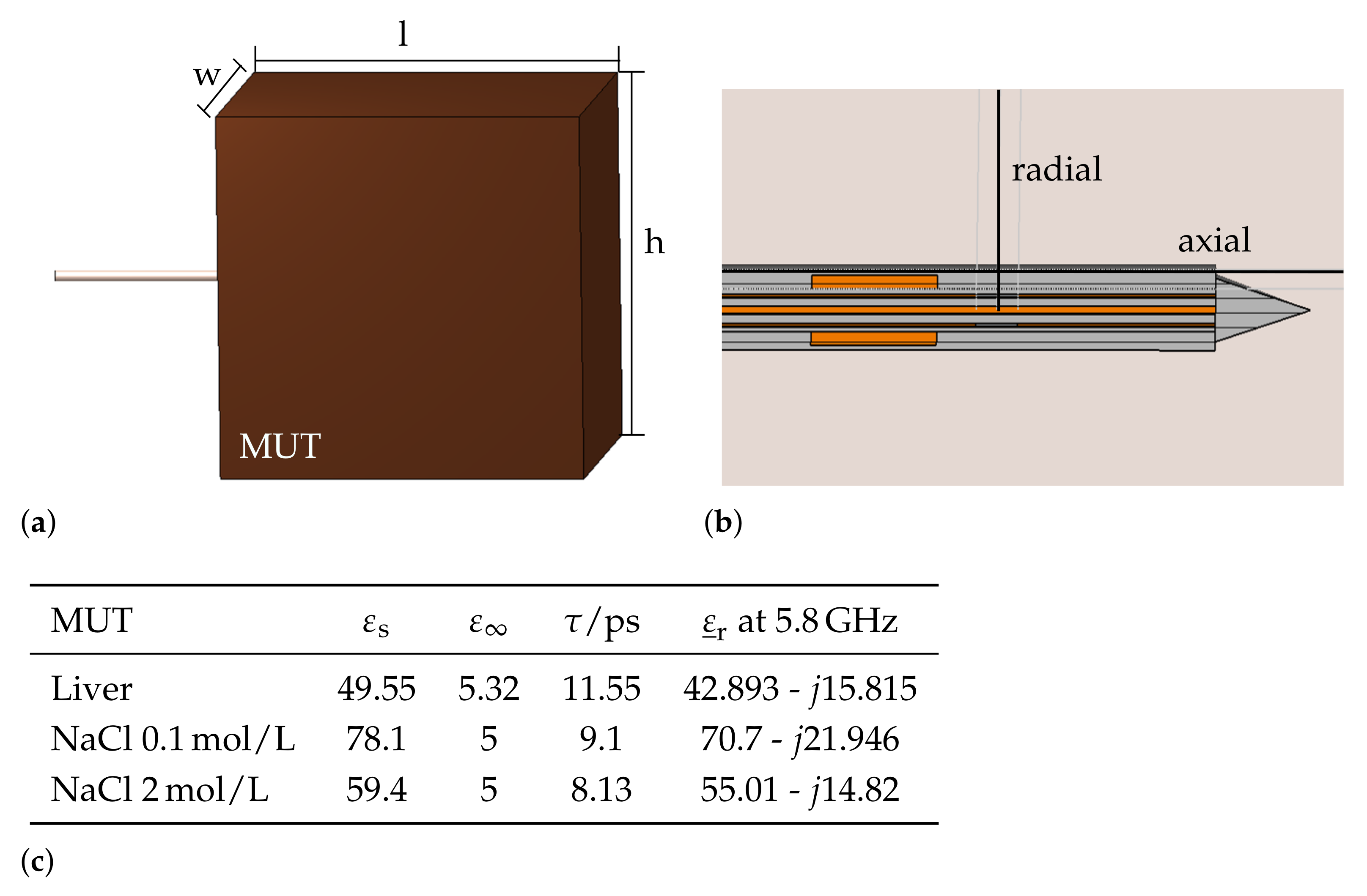 Biology 10 00914 g002