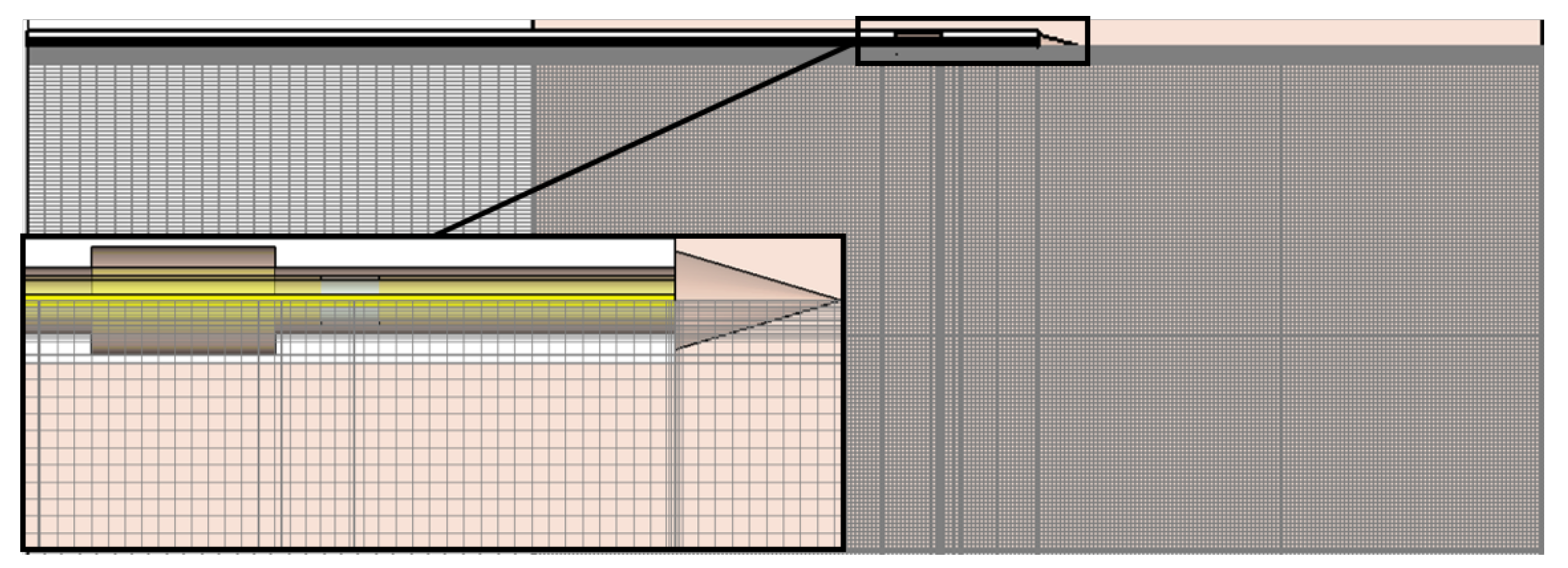 Biology 10 00914 g003