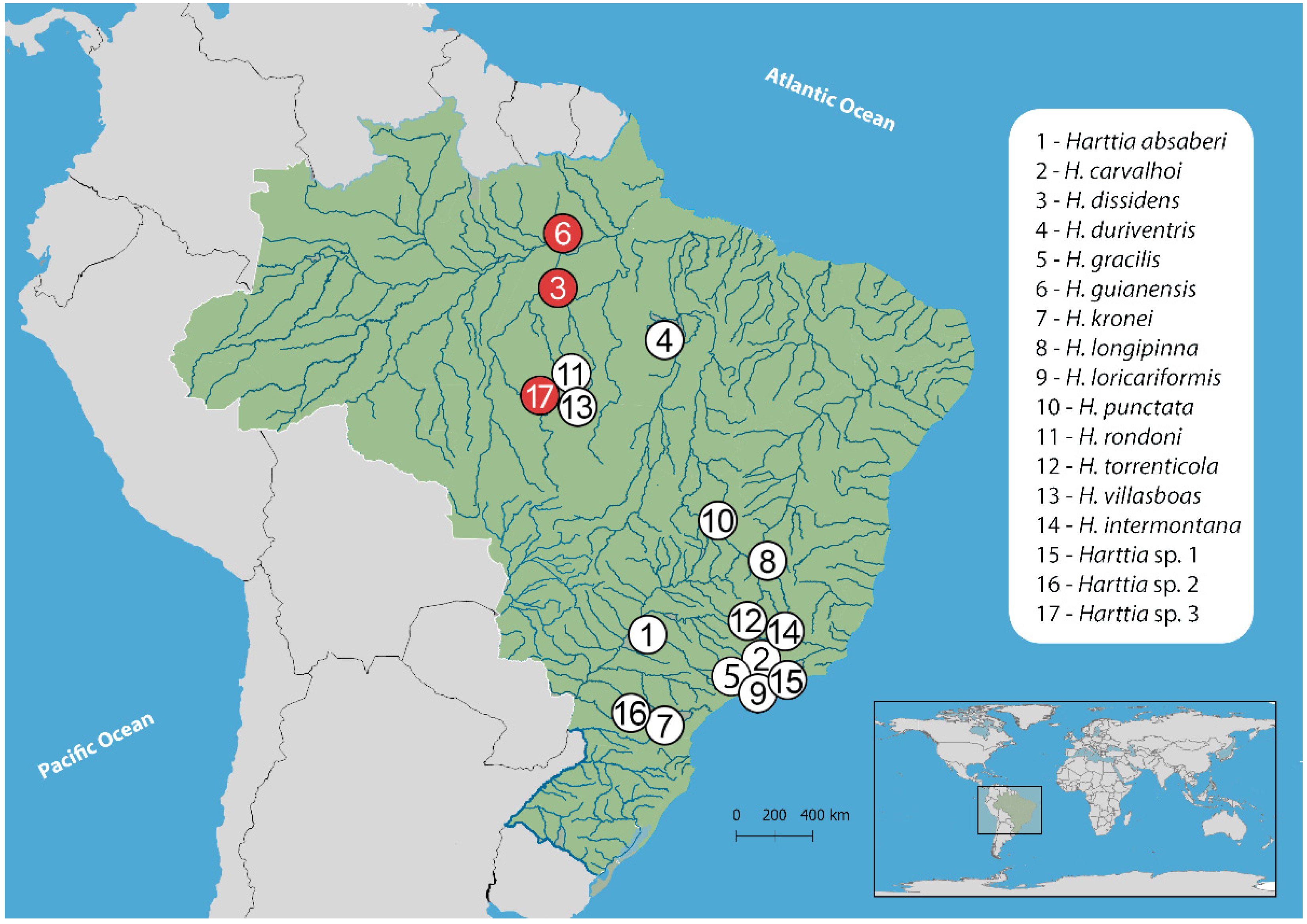 Biology 10 00922 g001