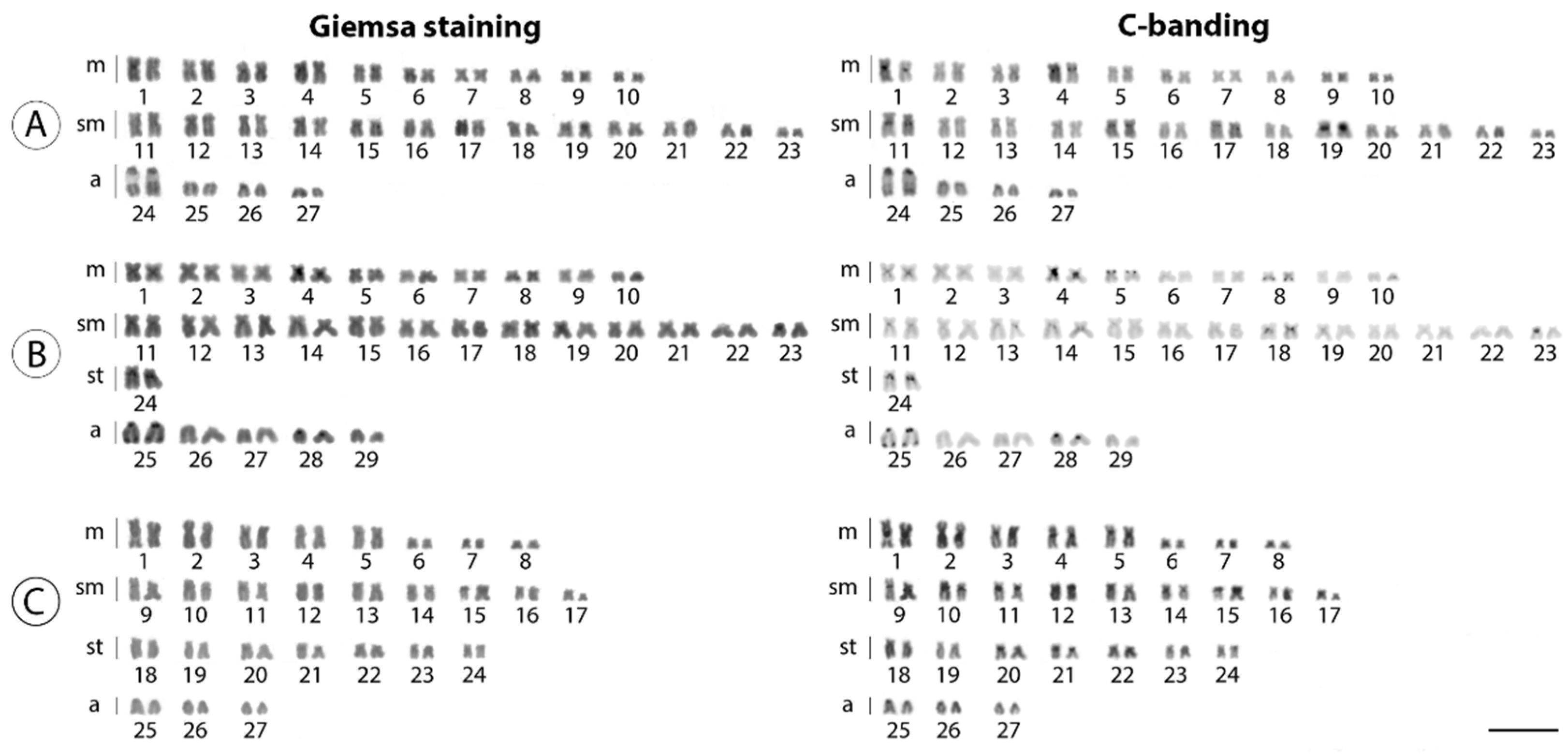 Biology 10 00922 g002