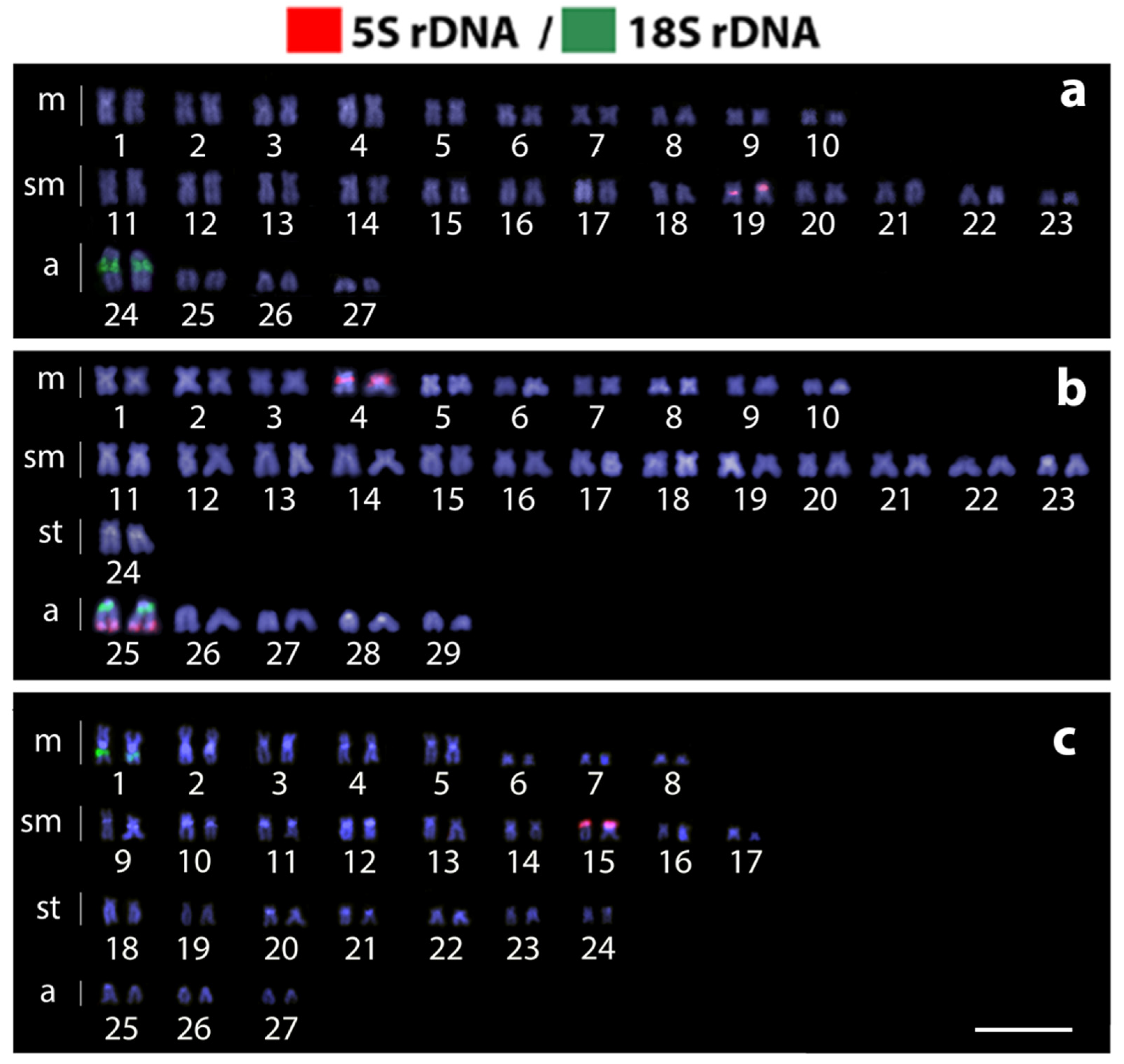 Biology 10 00922 g003