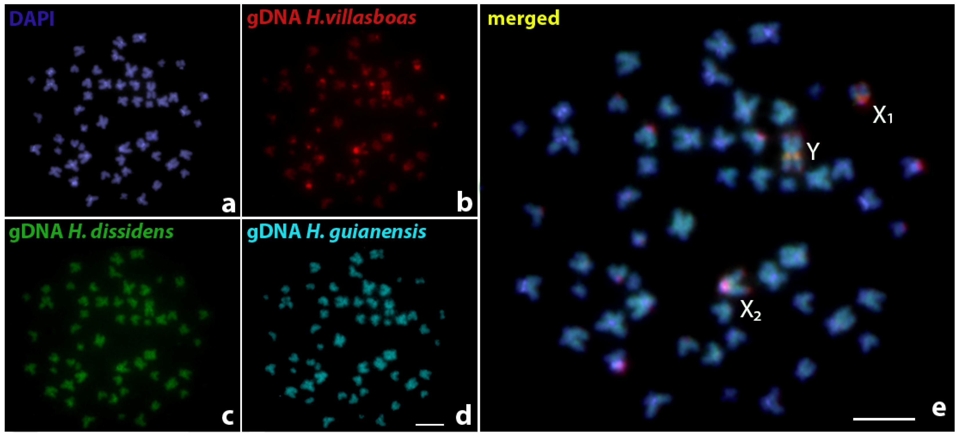 Biology 10 00922 g006