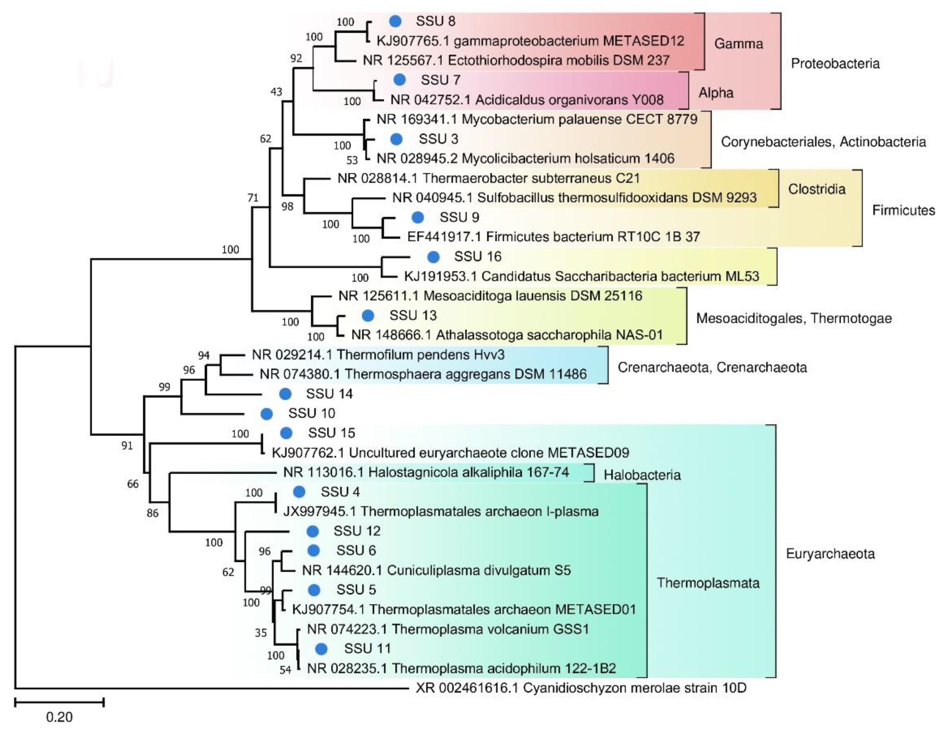 Biology 10 00924 g004