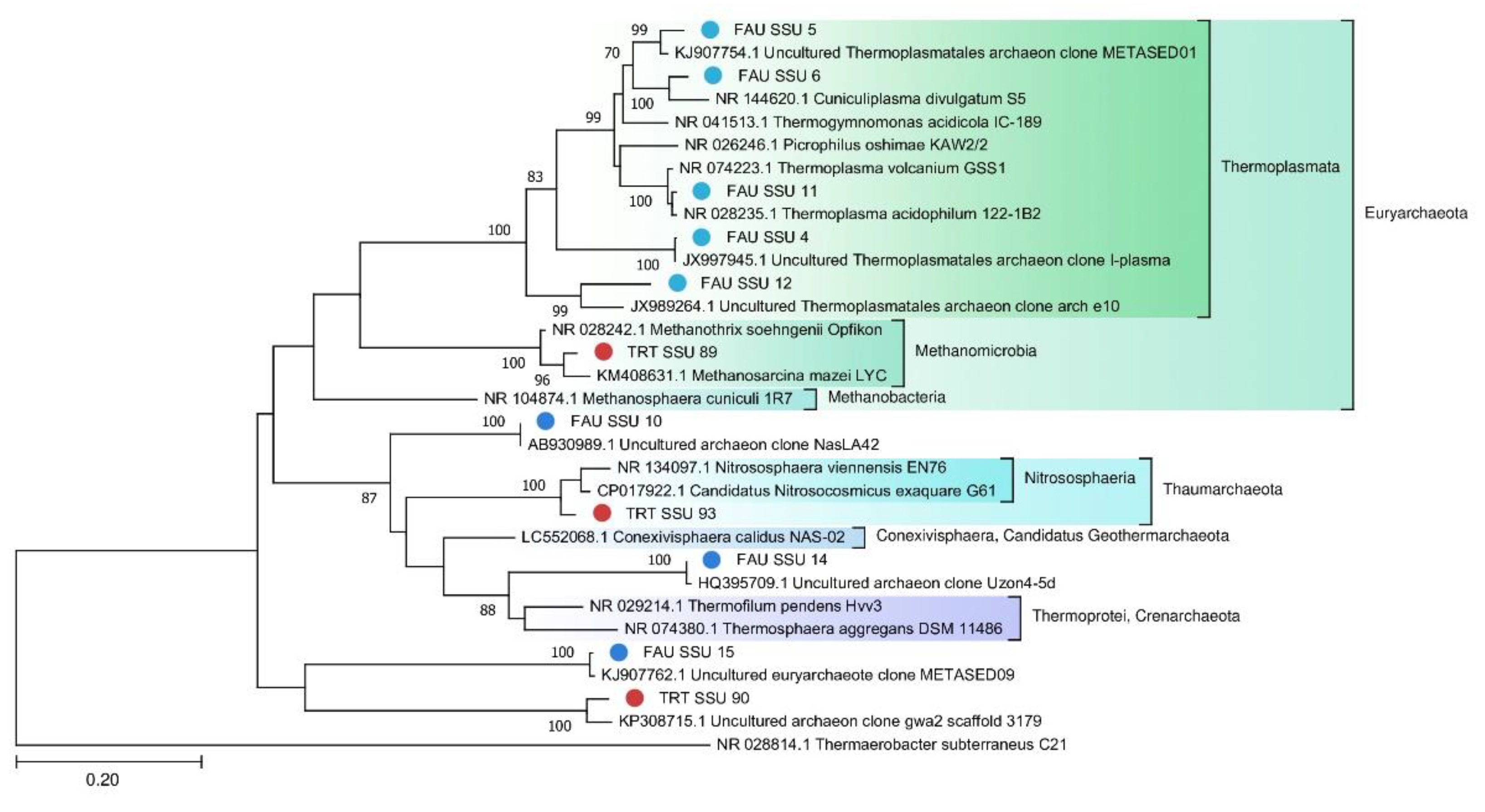Biology 10 00924 g007