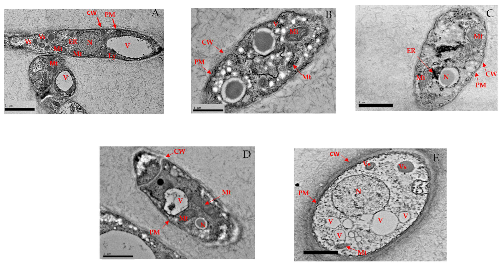 Biology 10 00930 g004 Biology 10 00930 g004