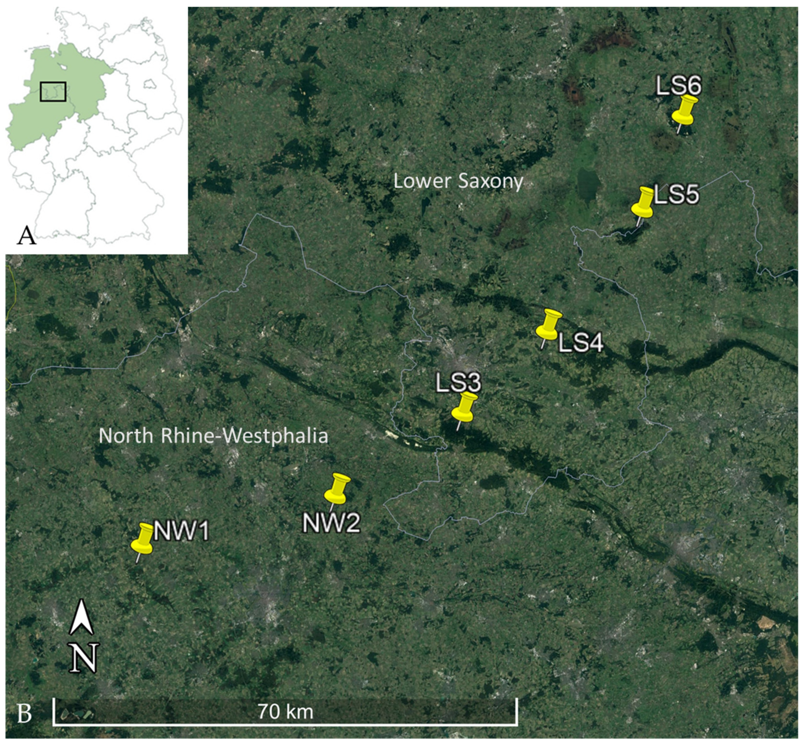 Biology 10 00933 g001