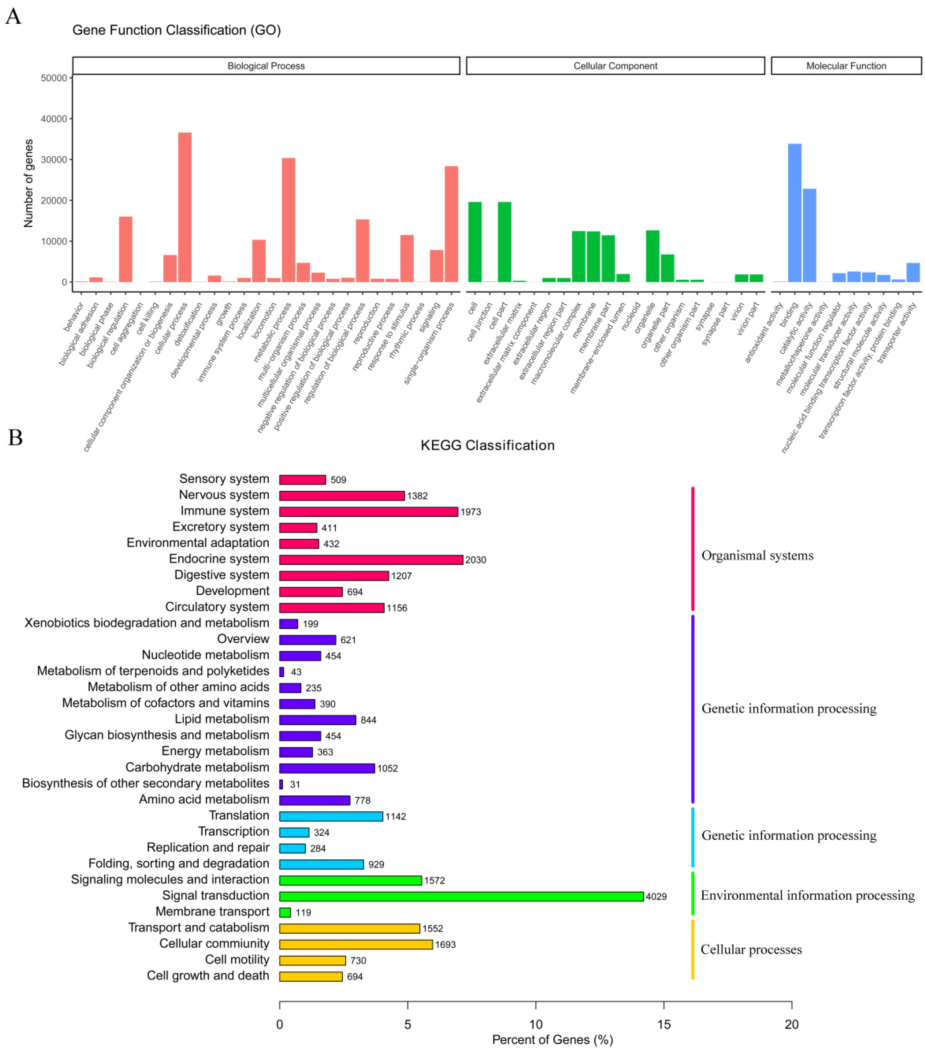 Biology 10 00935 g002