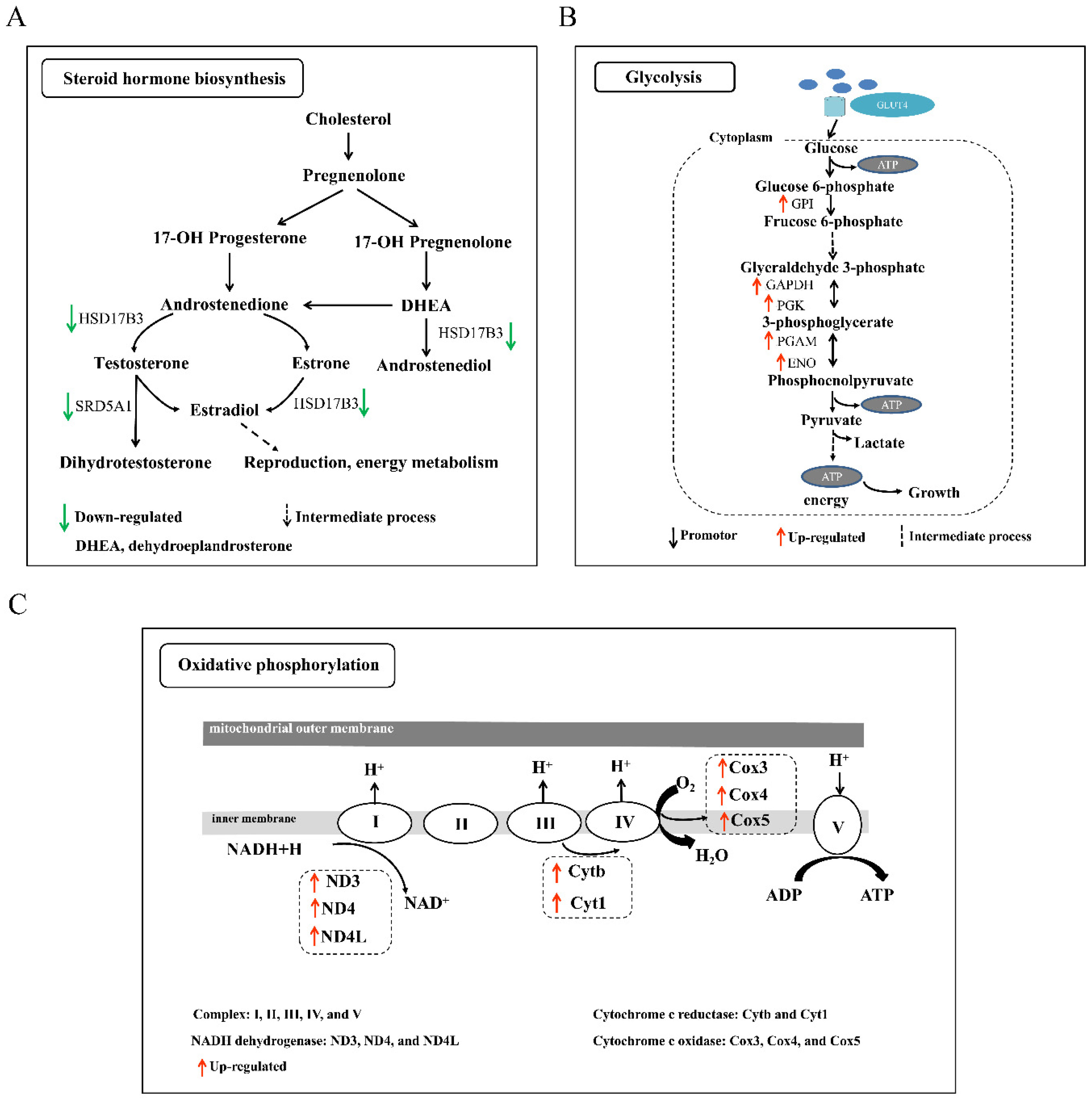 Biology 10 00935 g005