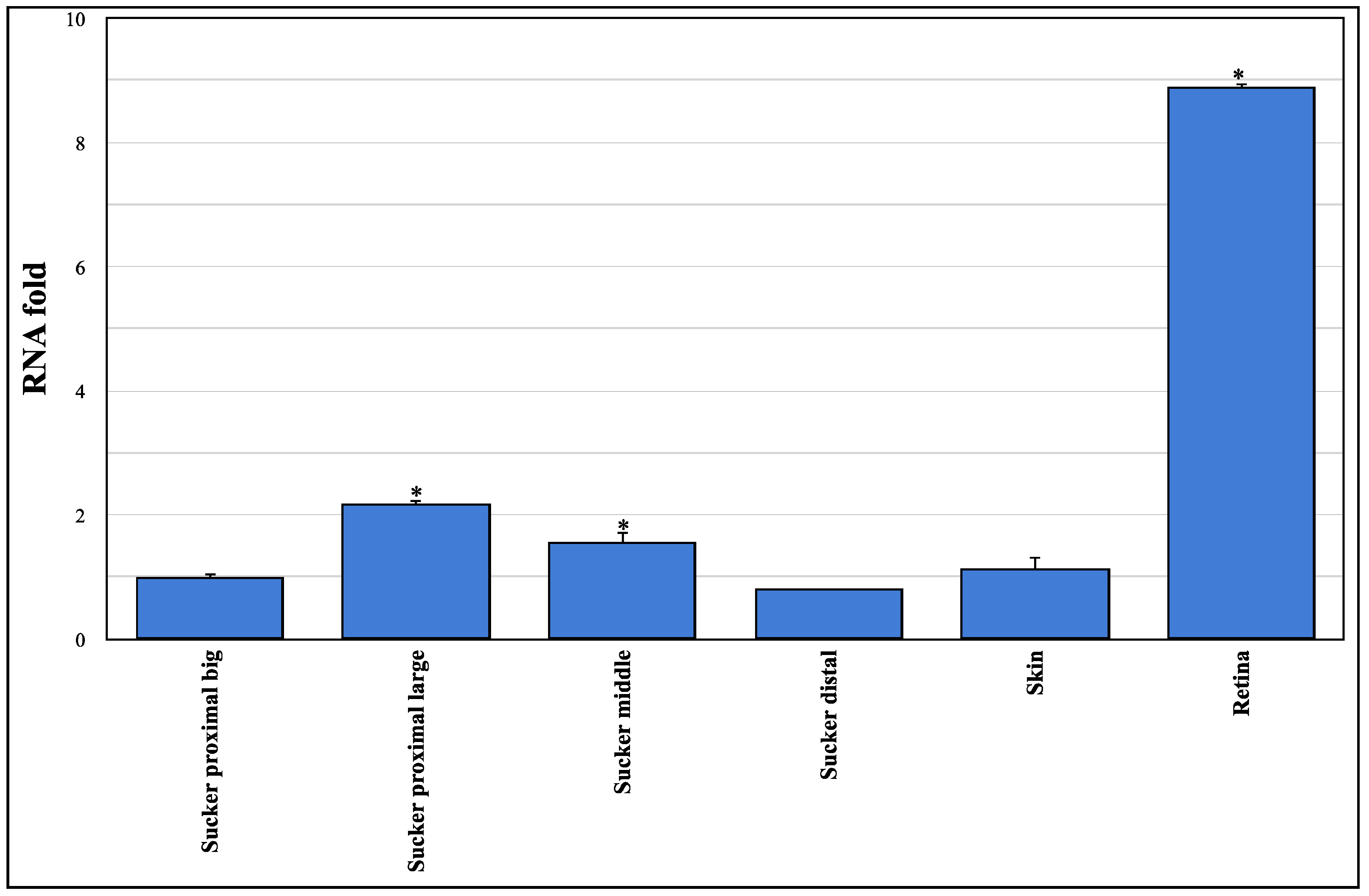 Biology 10 00936 g002