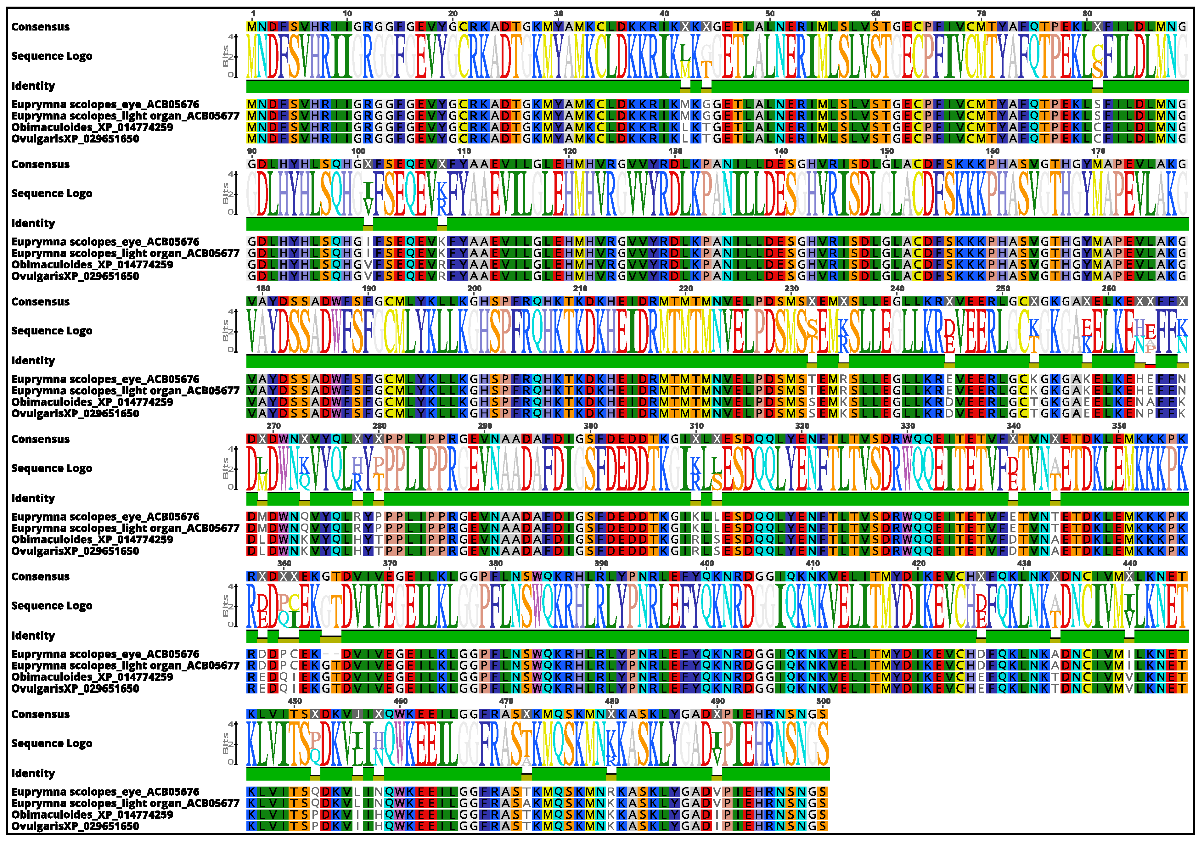 Biology 10 00936 g004