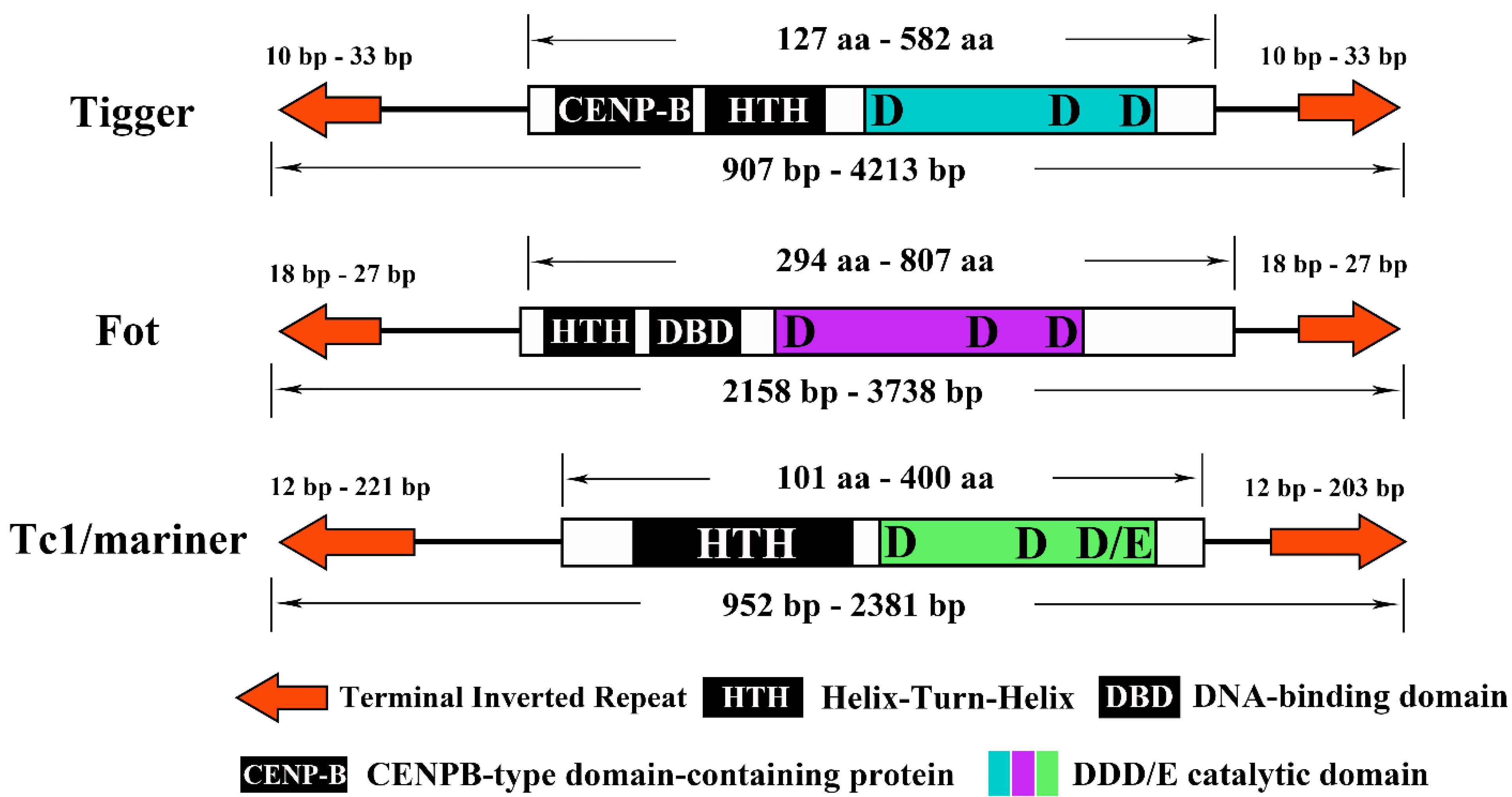 deleting base pairs in bioedit deleting base pairs in bioedit