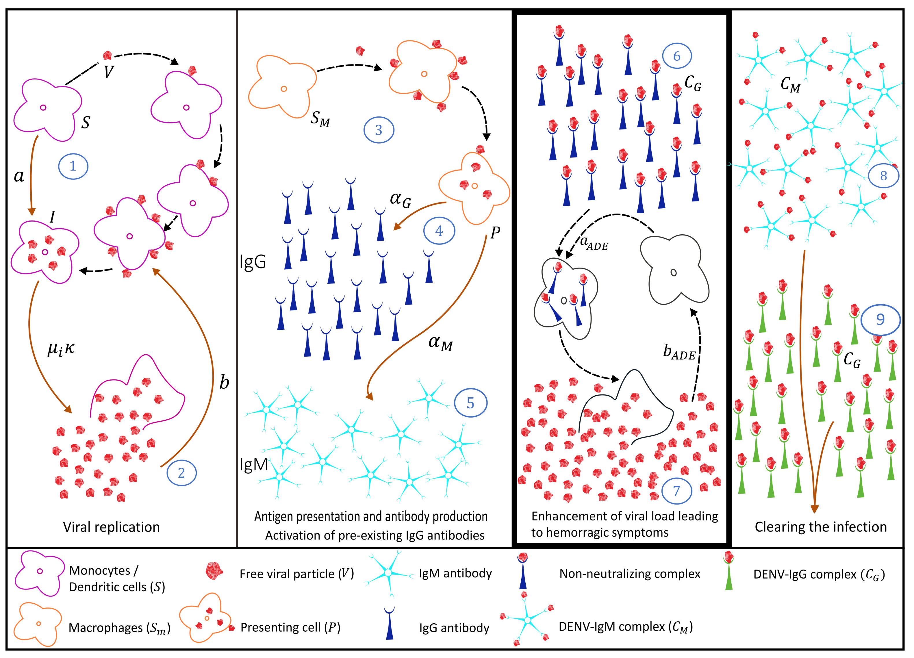 Biology 10 00941 g008