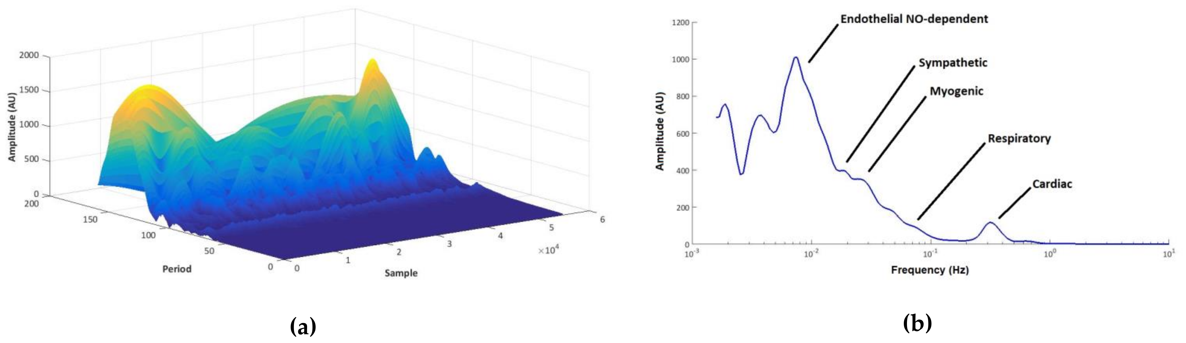 Biology 10 00953 g001