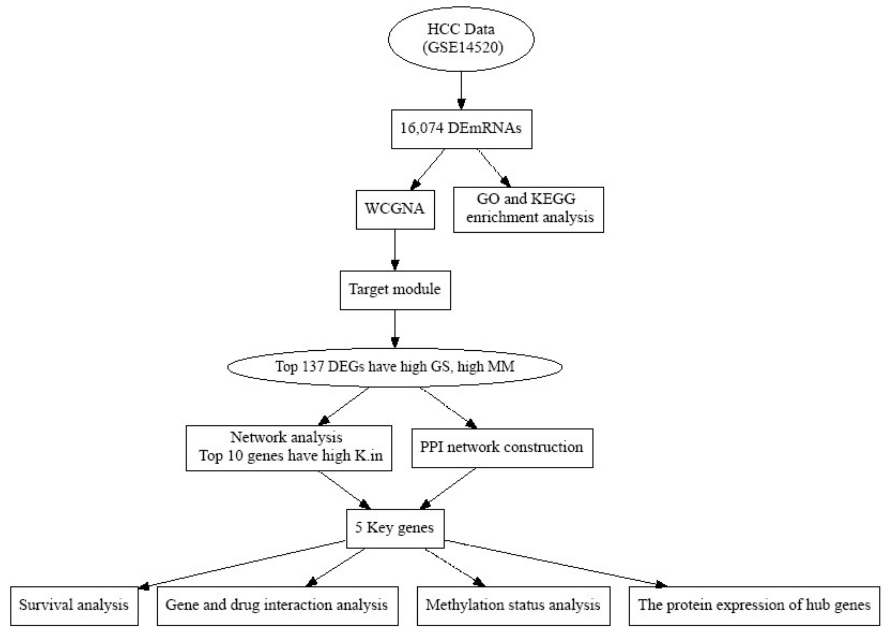 Biology 10 00957 g001