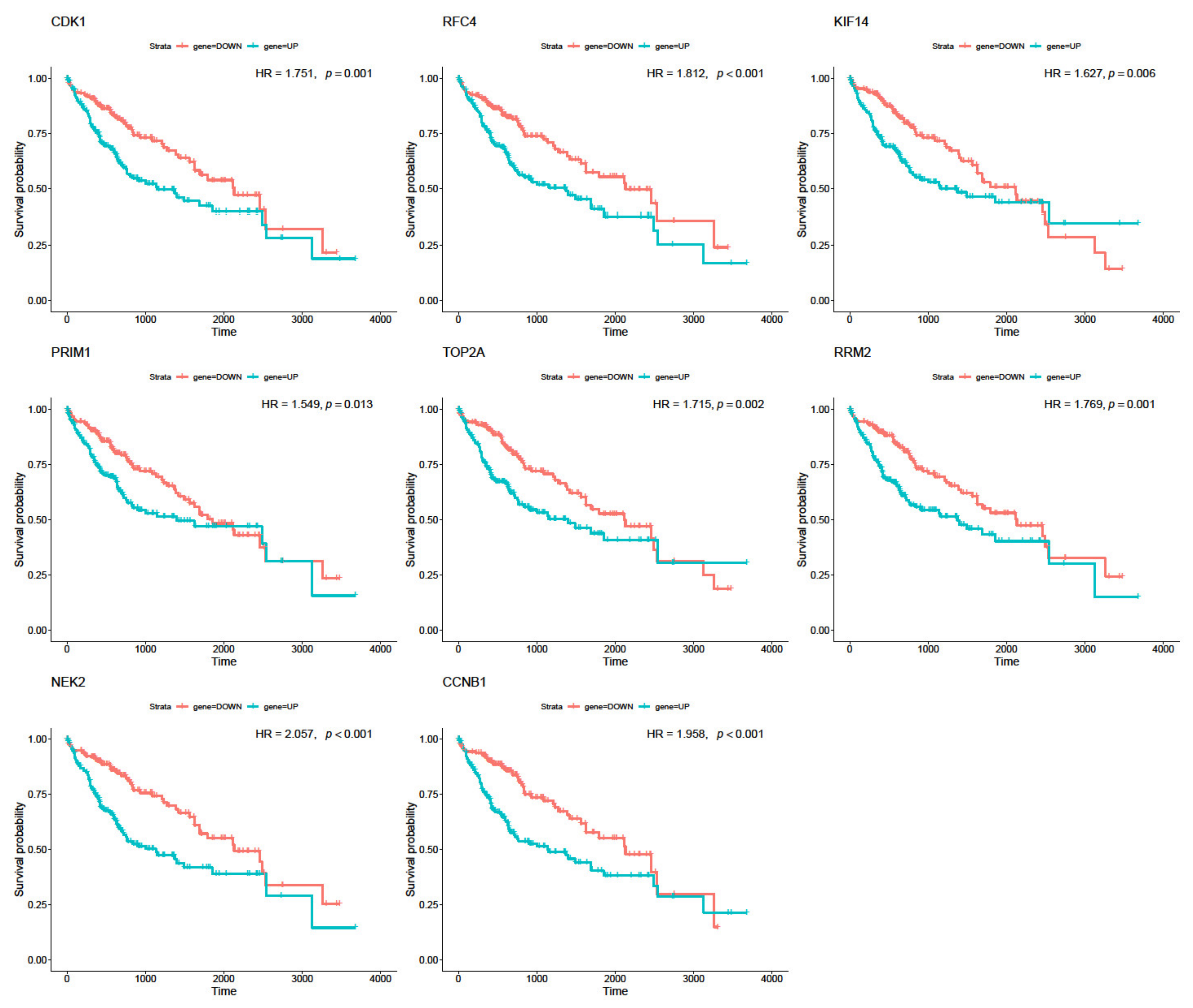 Biology 10 00957 g004