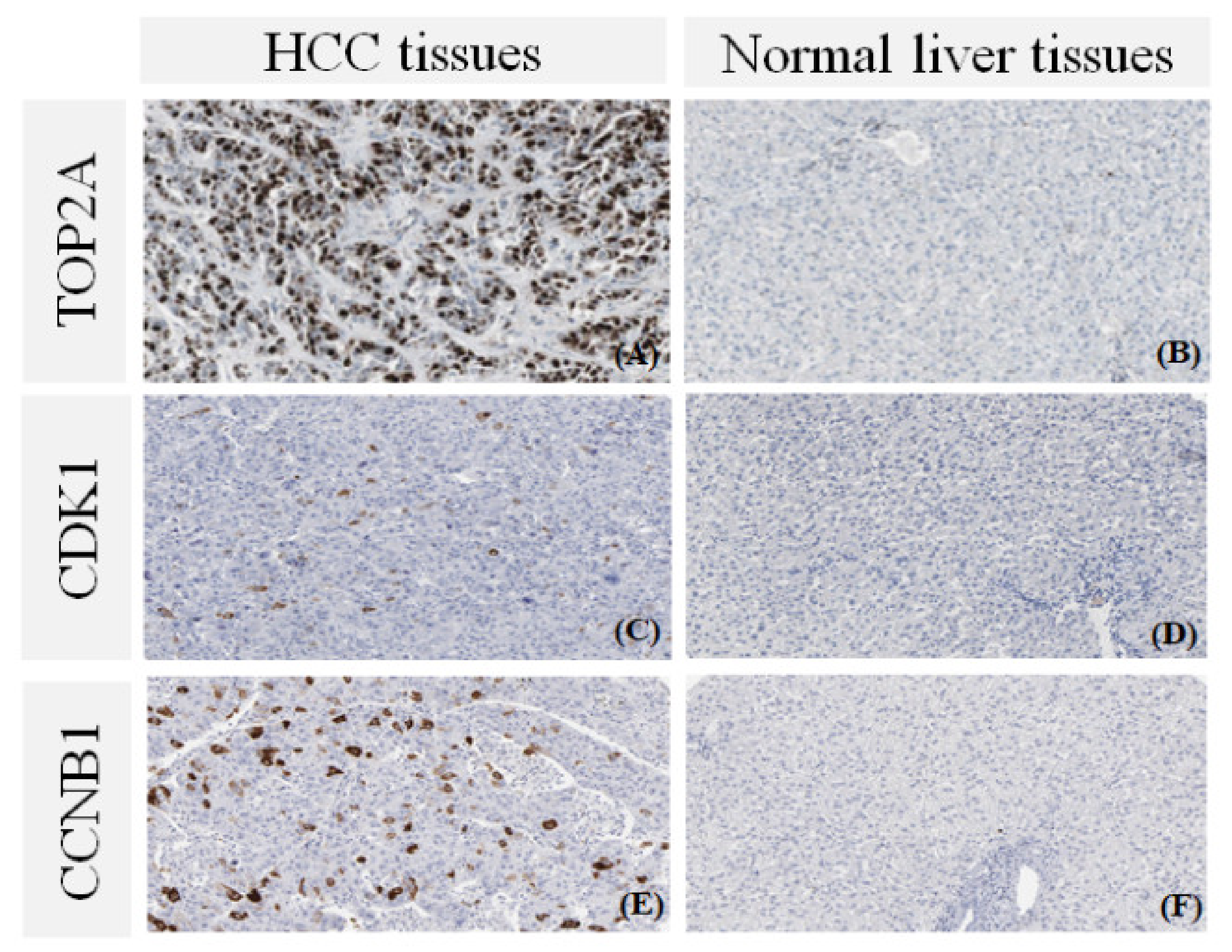 Biology 10 00957 g005