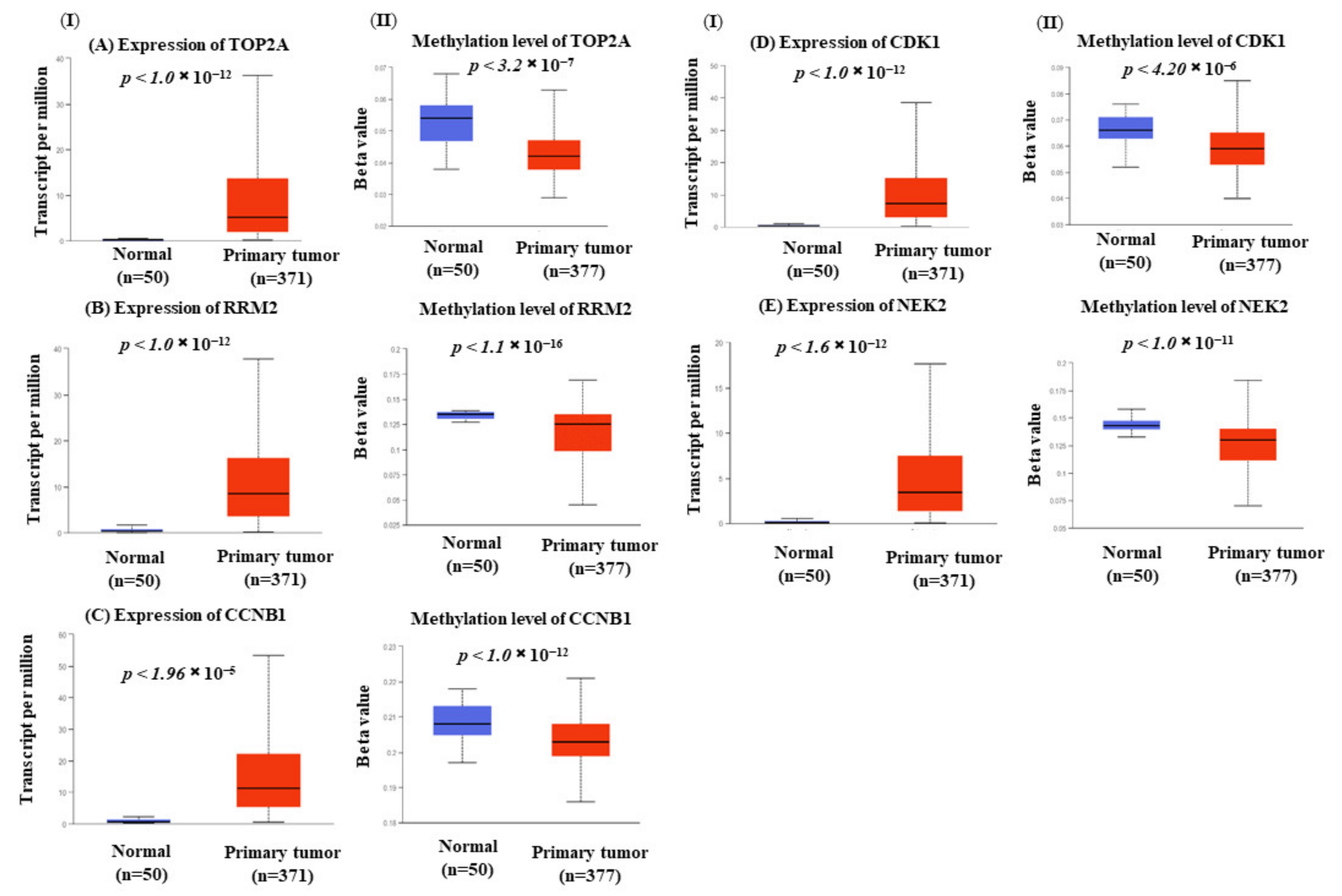Biology 10 00957 g006