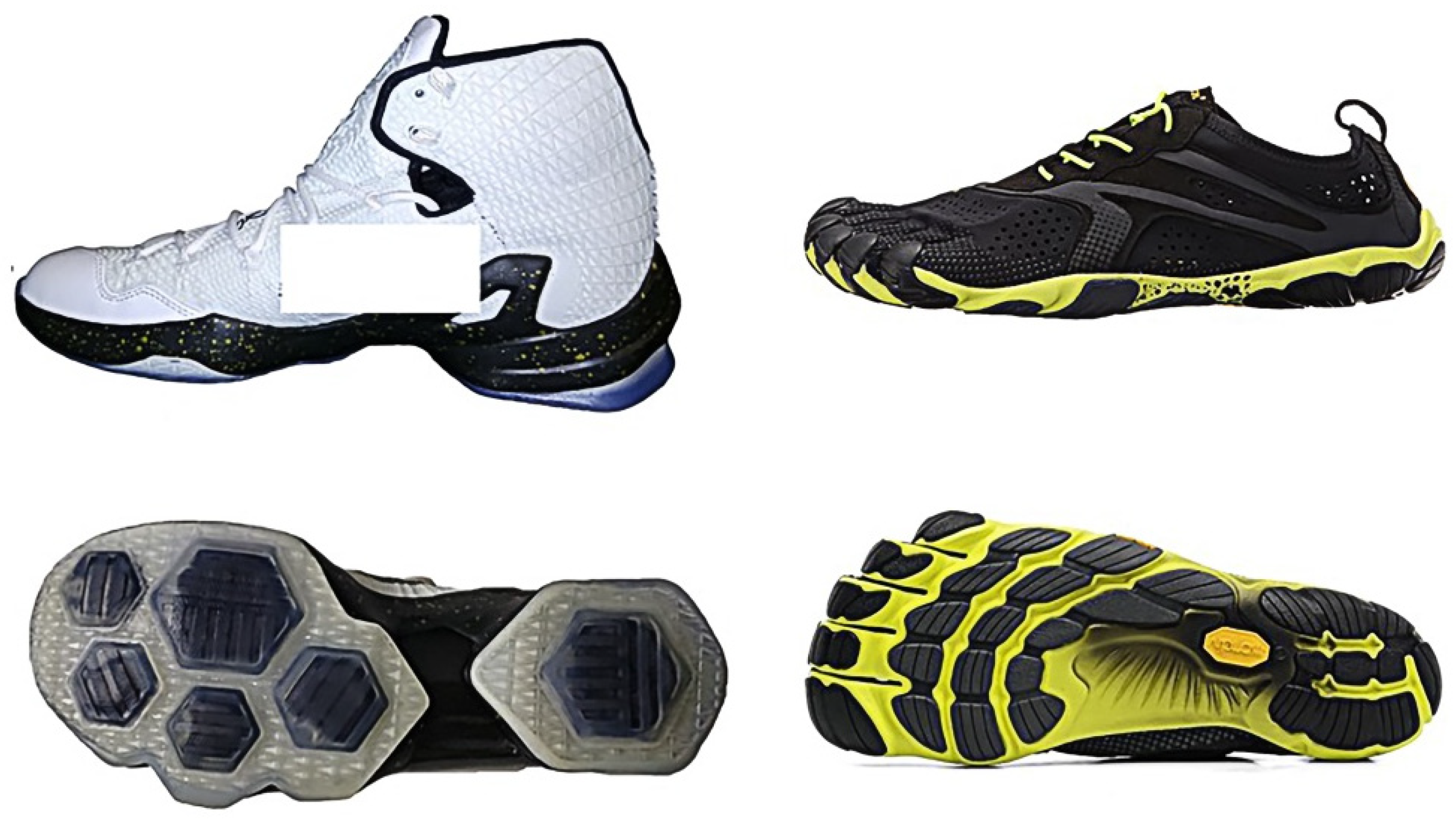 Biology 10 00962 g001