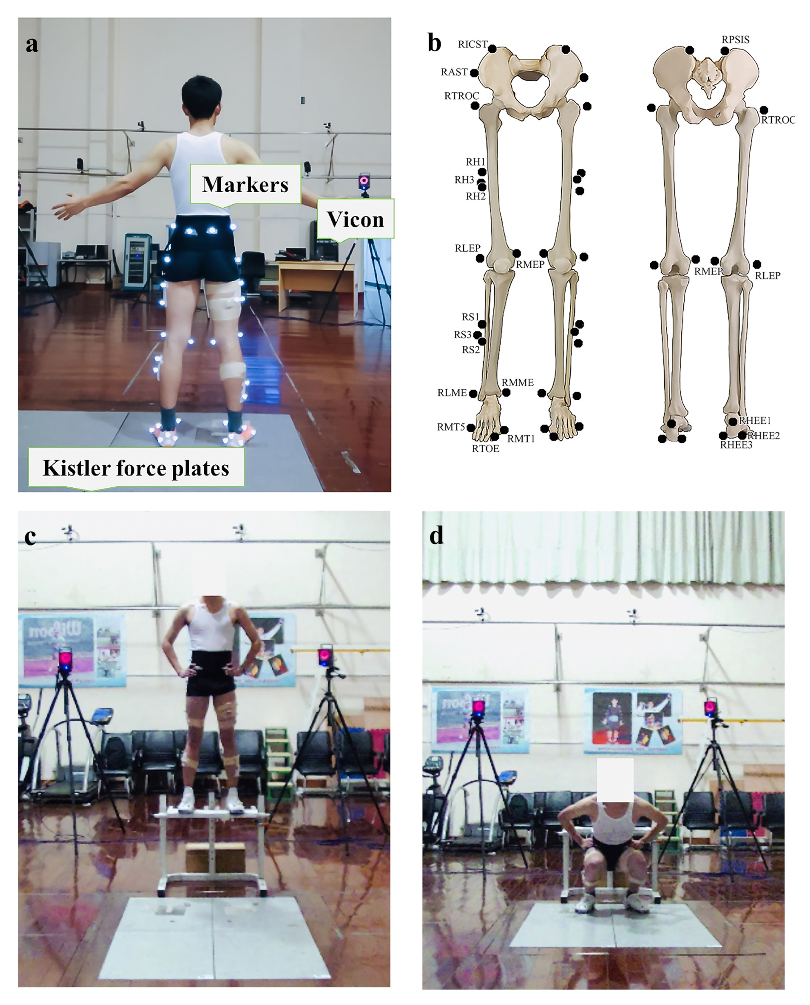 Biology 10 00962 g002