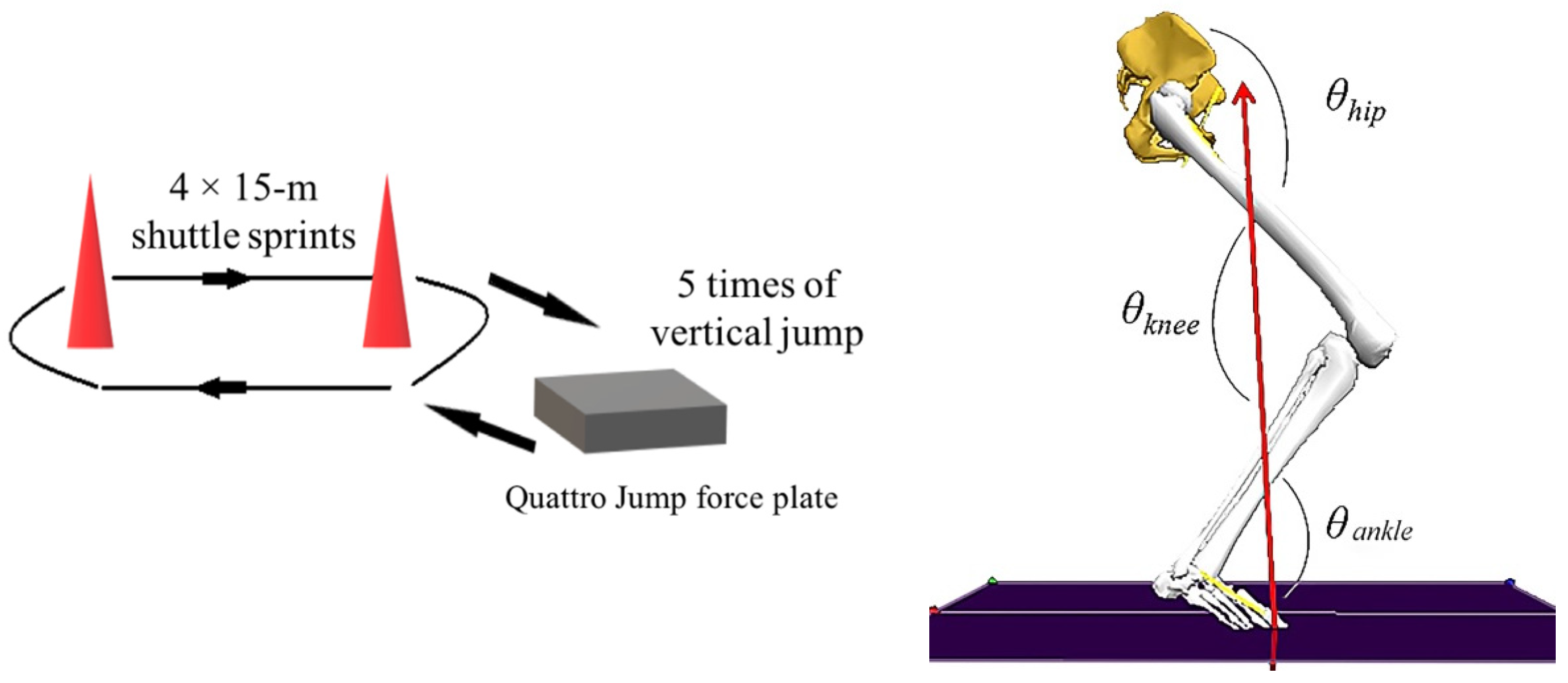 Biology 10 00962 g004