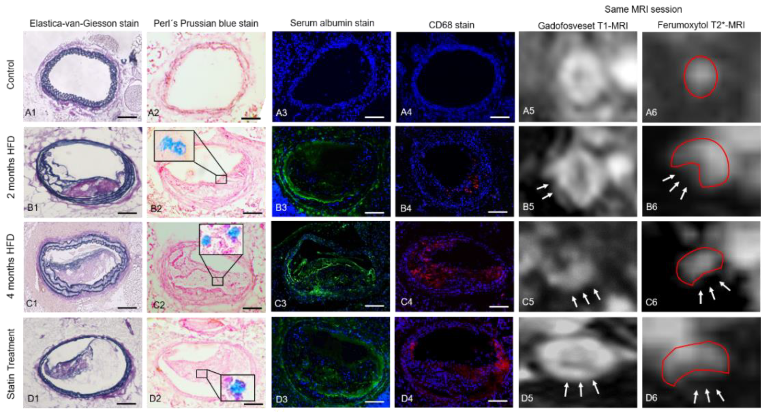 Biology 10 00964 g002