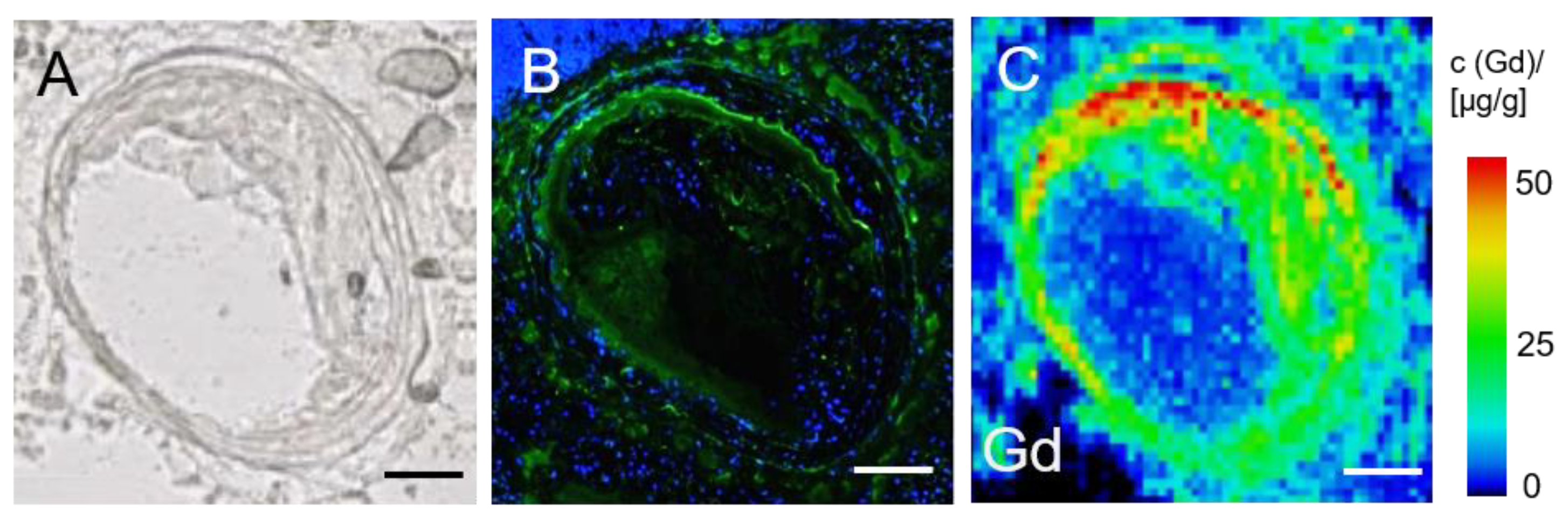 Biology 10 00964 g006