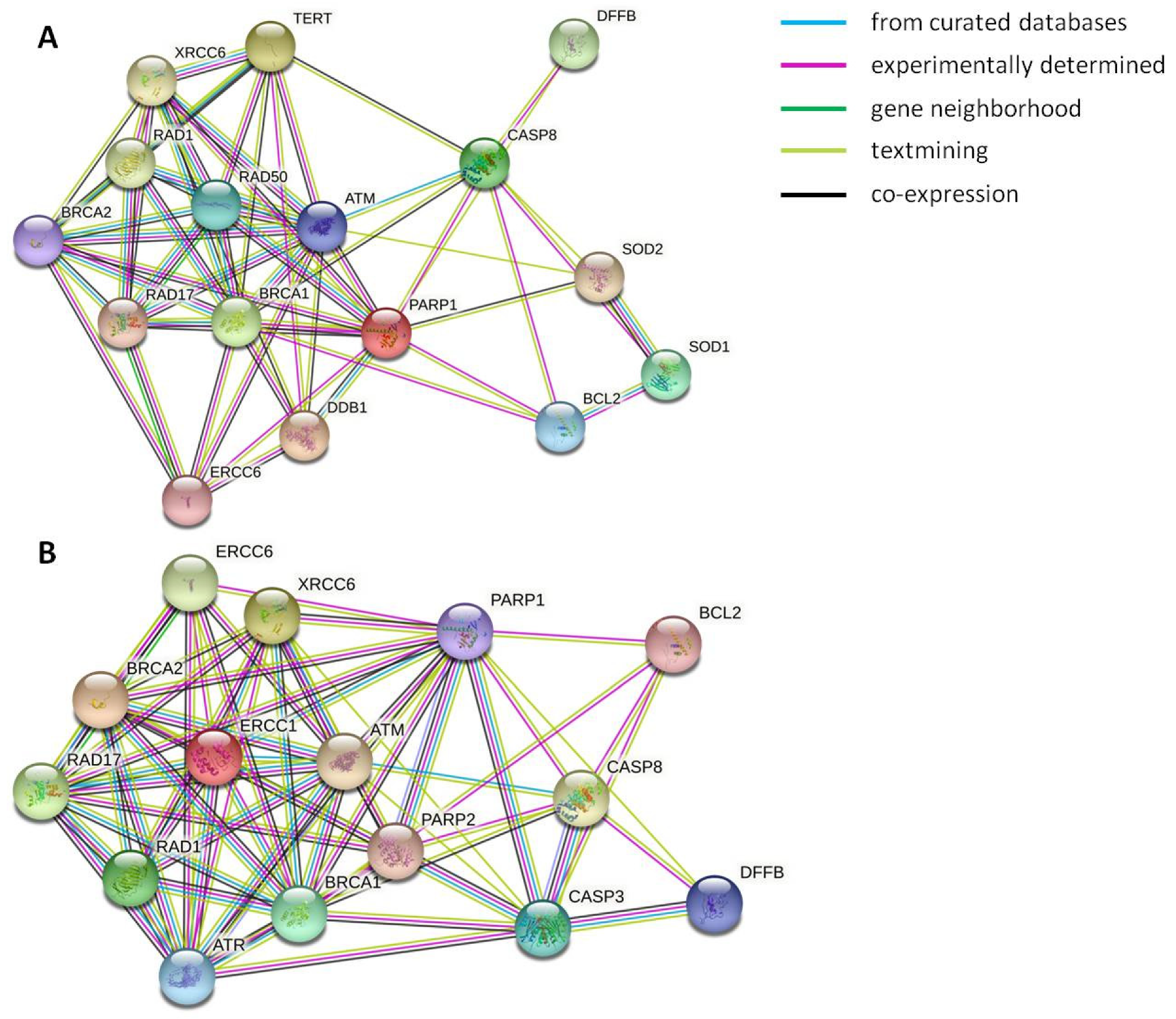 Biology 10 00970 g004 550
