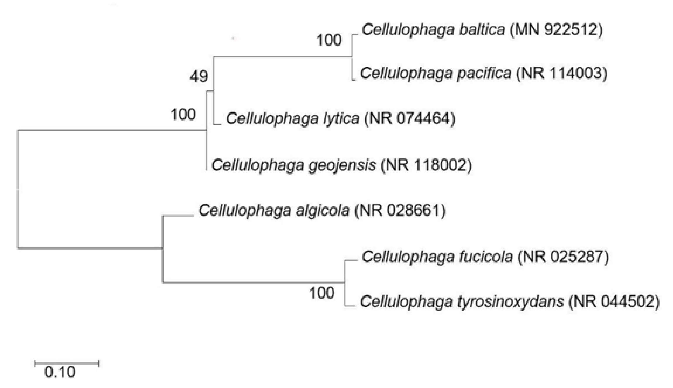 Biology 10 00971 g001