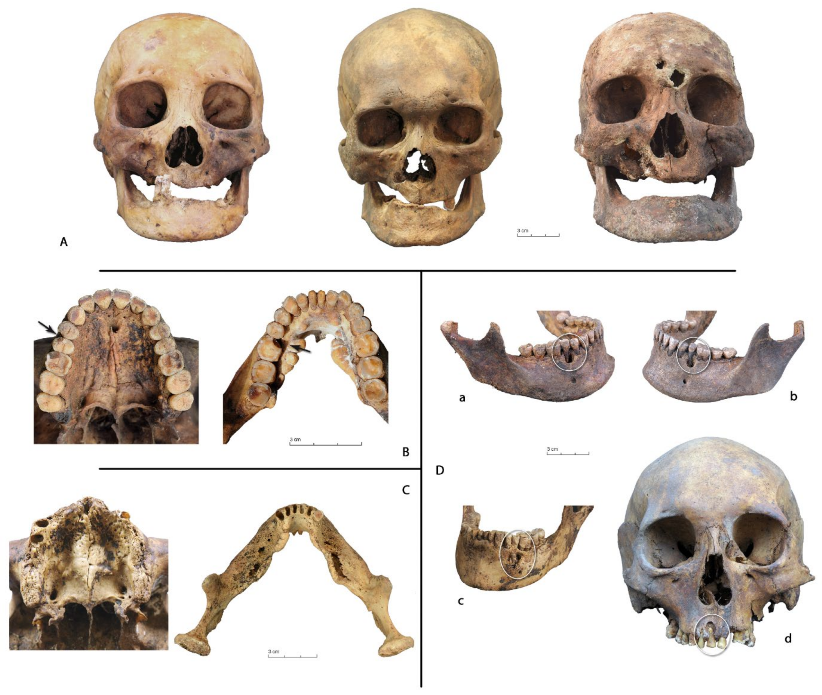 Biology 10 00974 g002 Biology 10 00974 g002