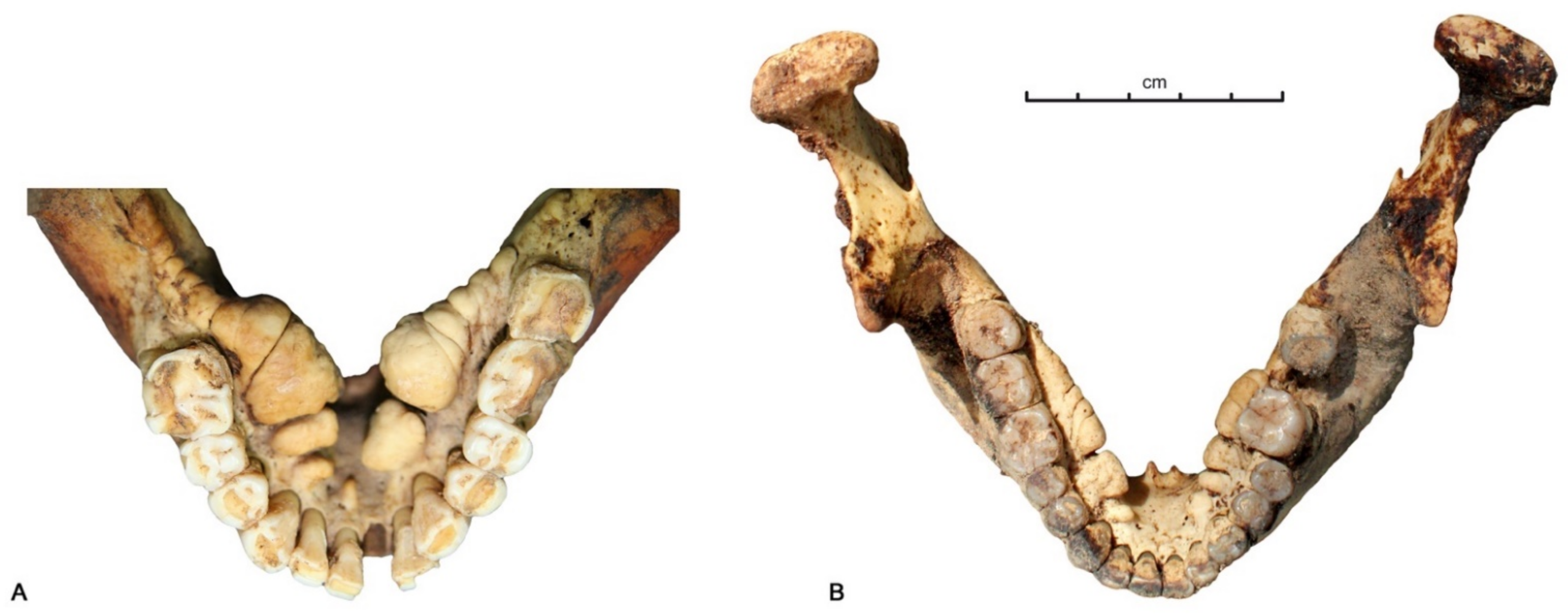 Biology 10 00974 g004 Biology 10 00974 g004