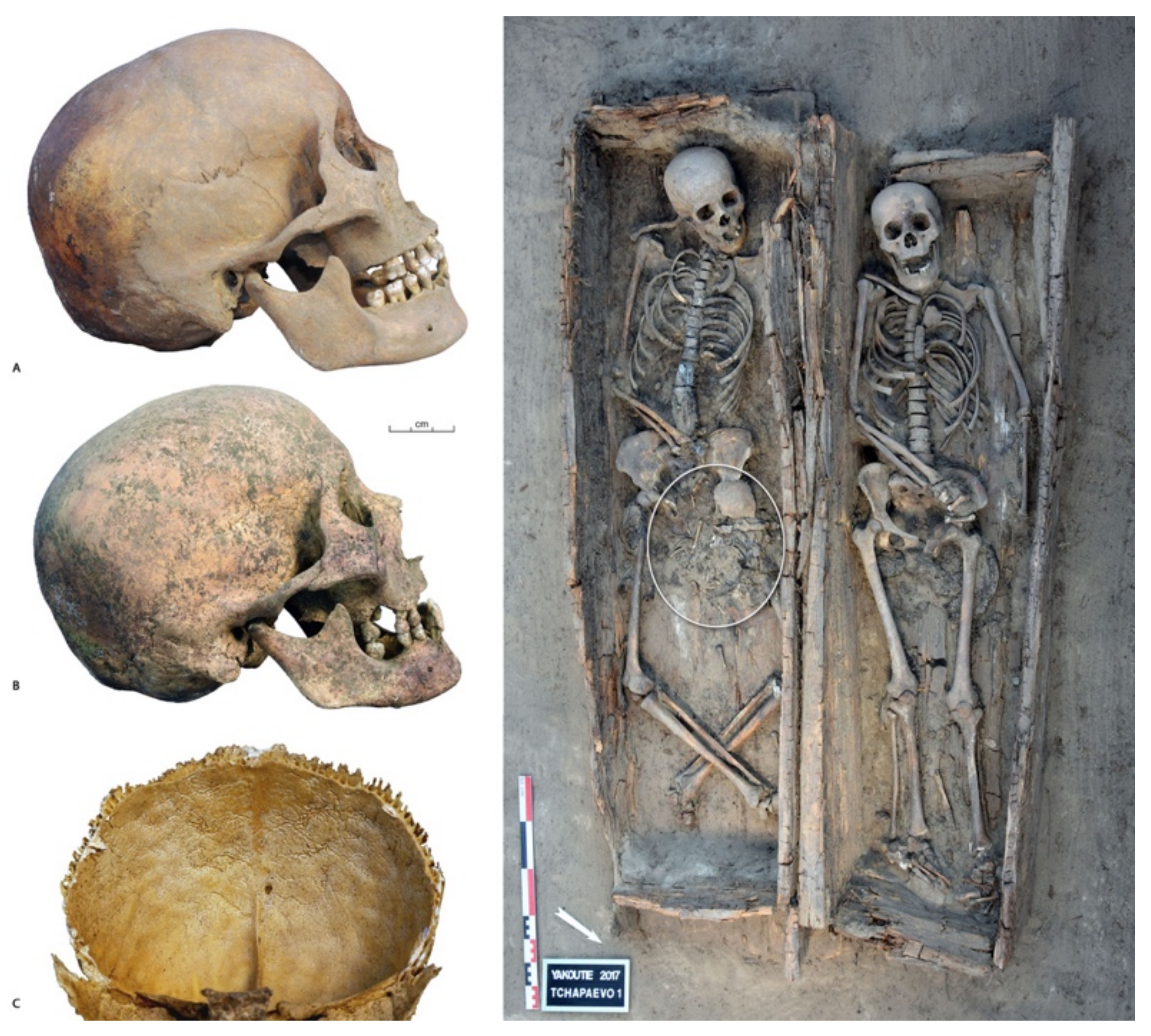 Biology 10 00974 g007 Biology 10 00974 g007