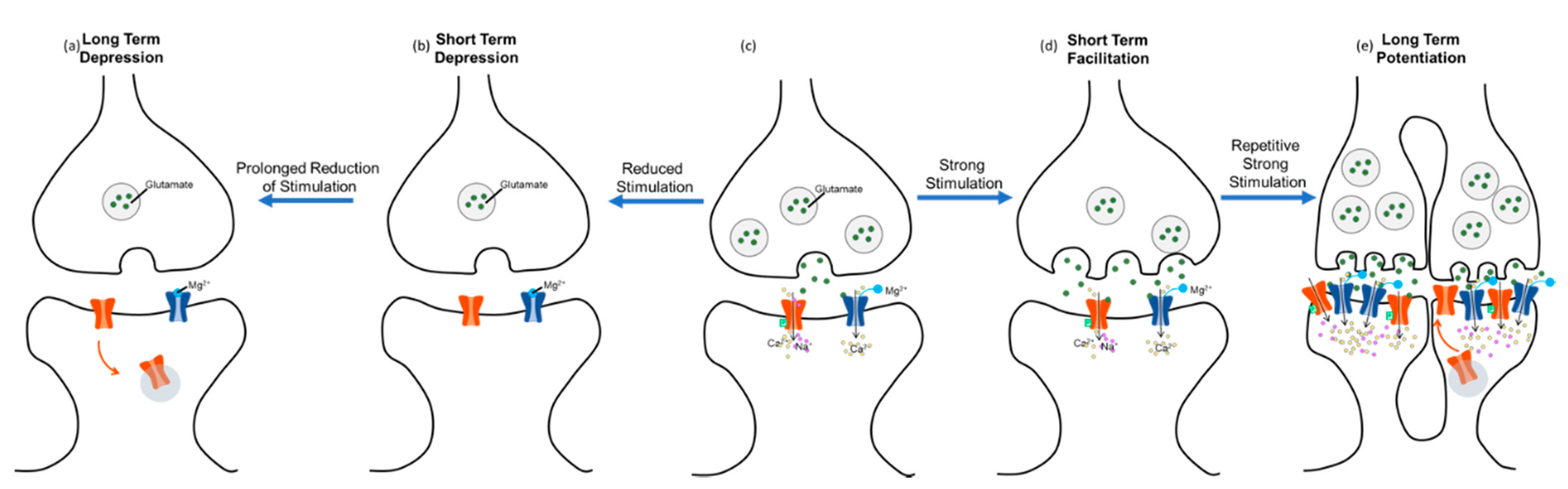 Biology 10 00976 g002
