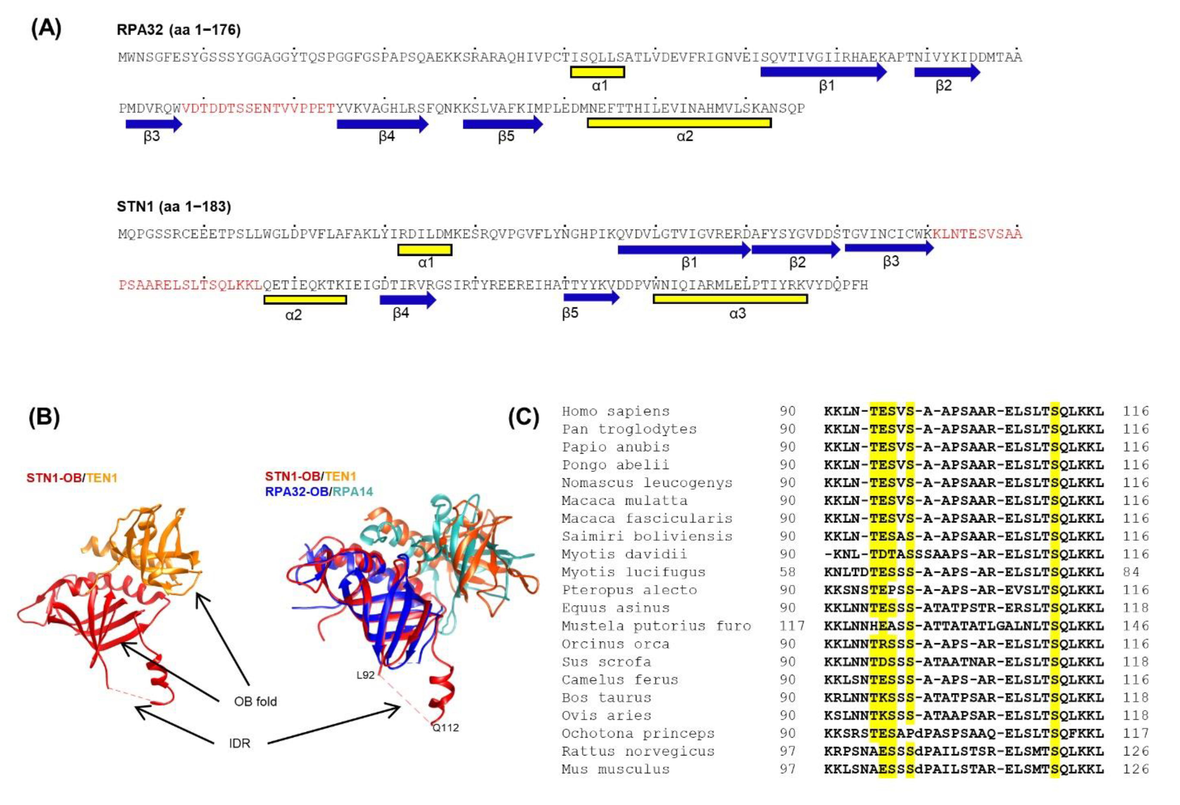 Biology 10 00977 g001