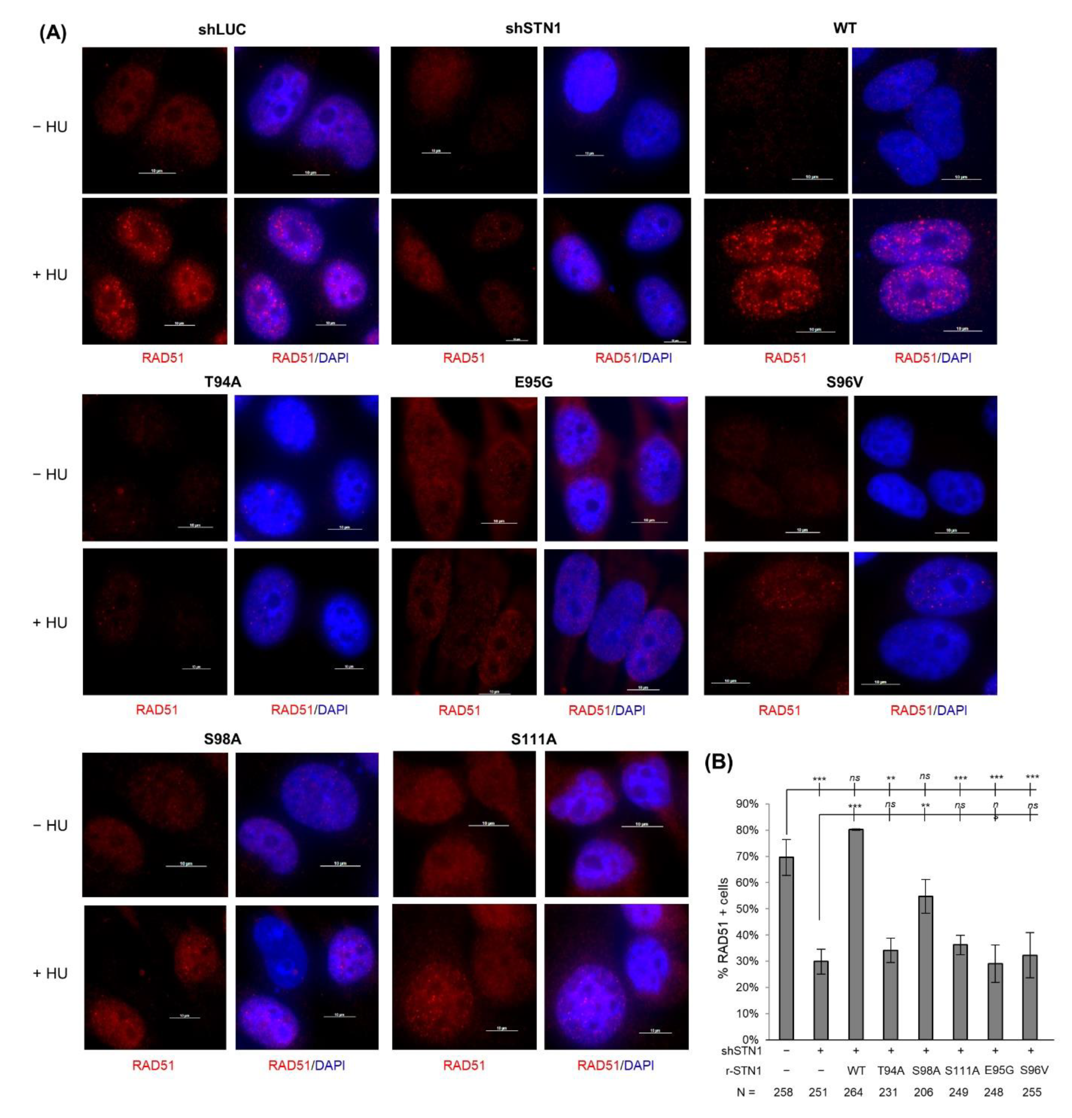 Biology 10 00977 g004