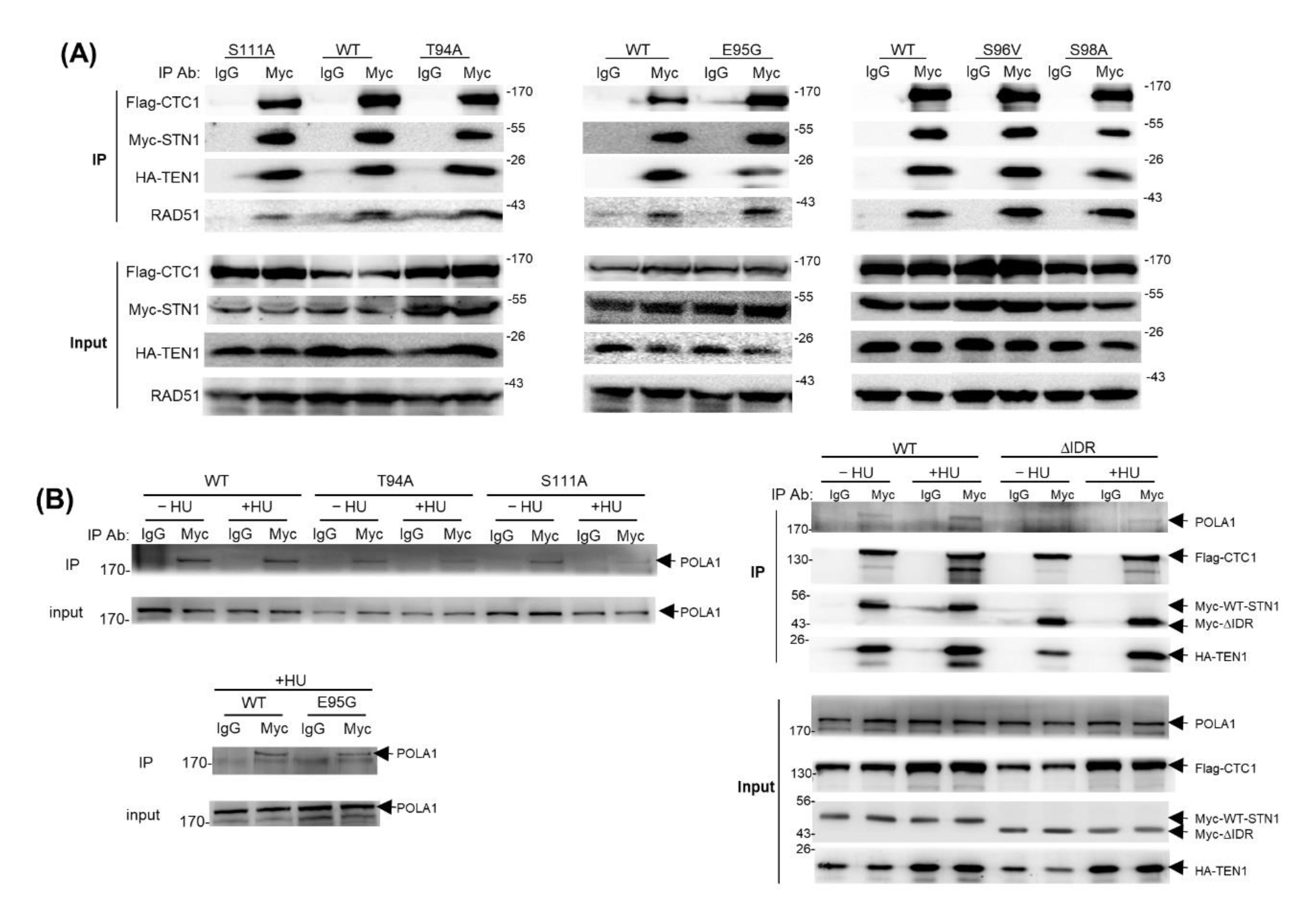 Biology 10 00977 g005