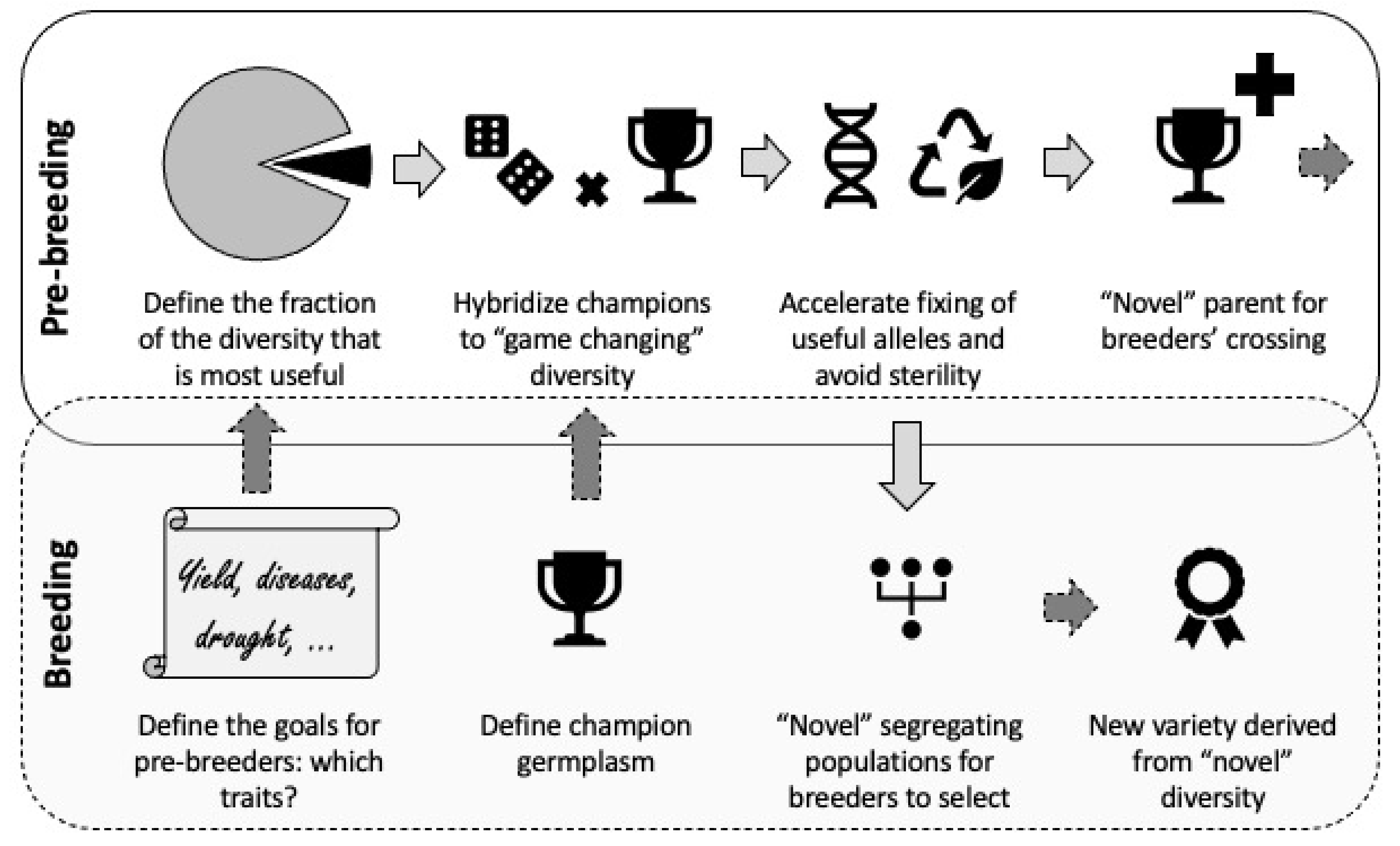 Stille og rolig Se internettet Det er billigt Biology | Free Full-Text | Introducing Beneficial Alleles from Plant  Genetic Resources into the Wheat Germplasm | HTML