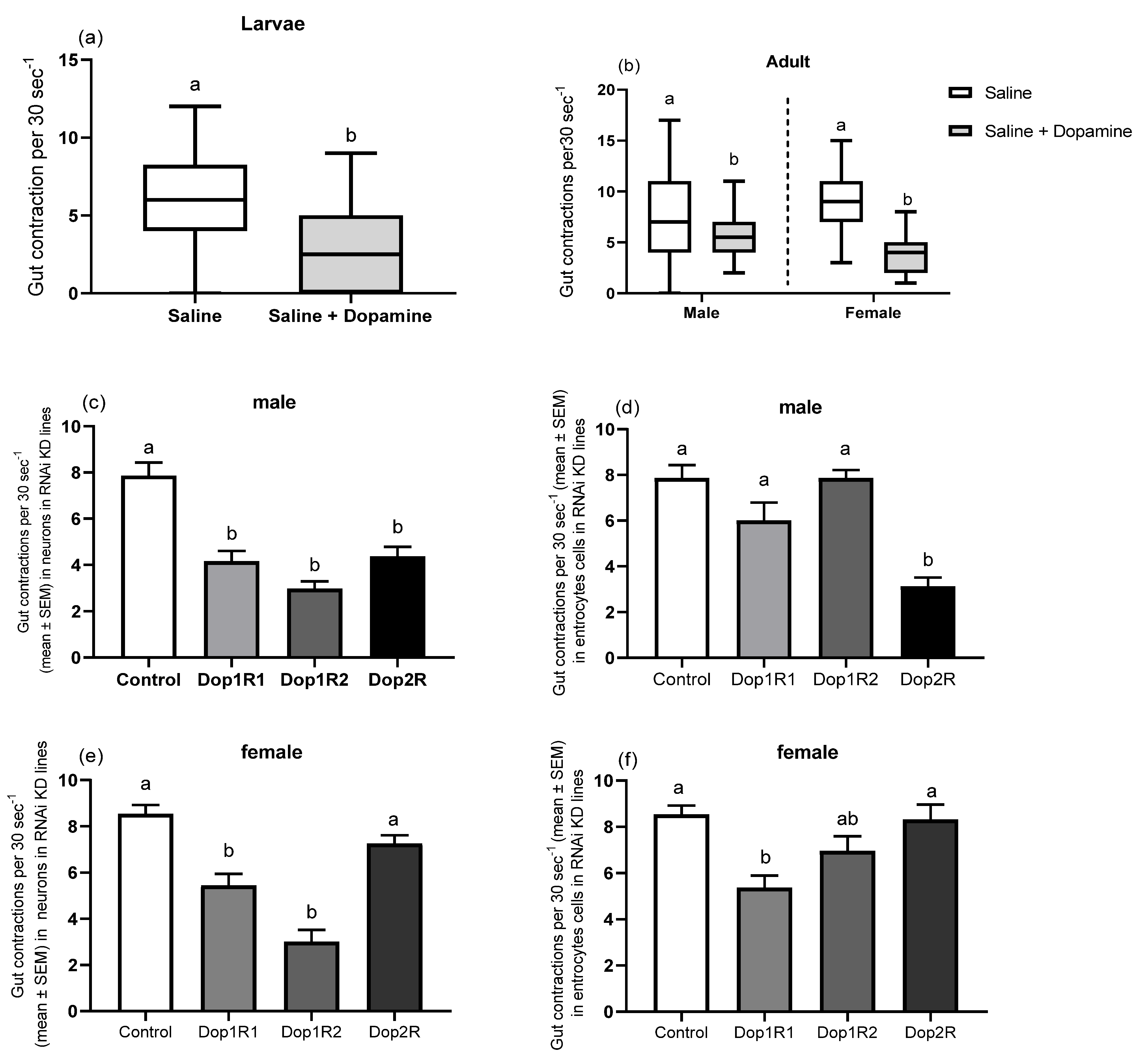 Biology 10 00983 g003