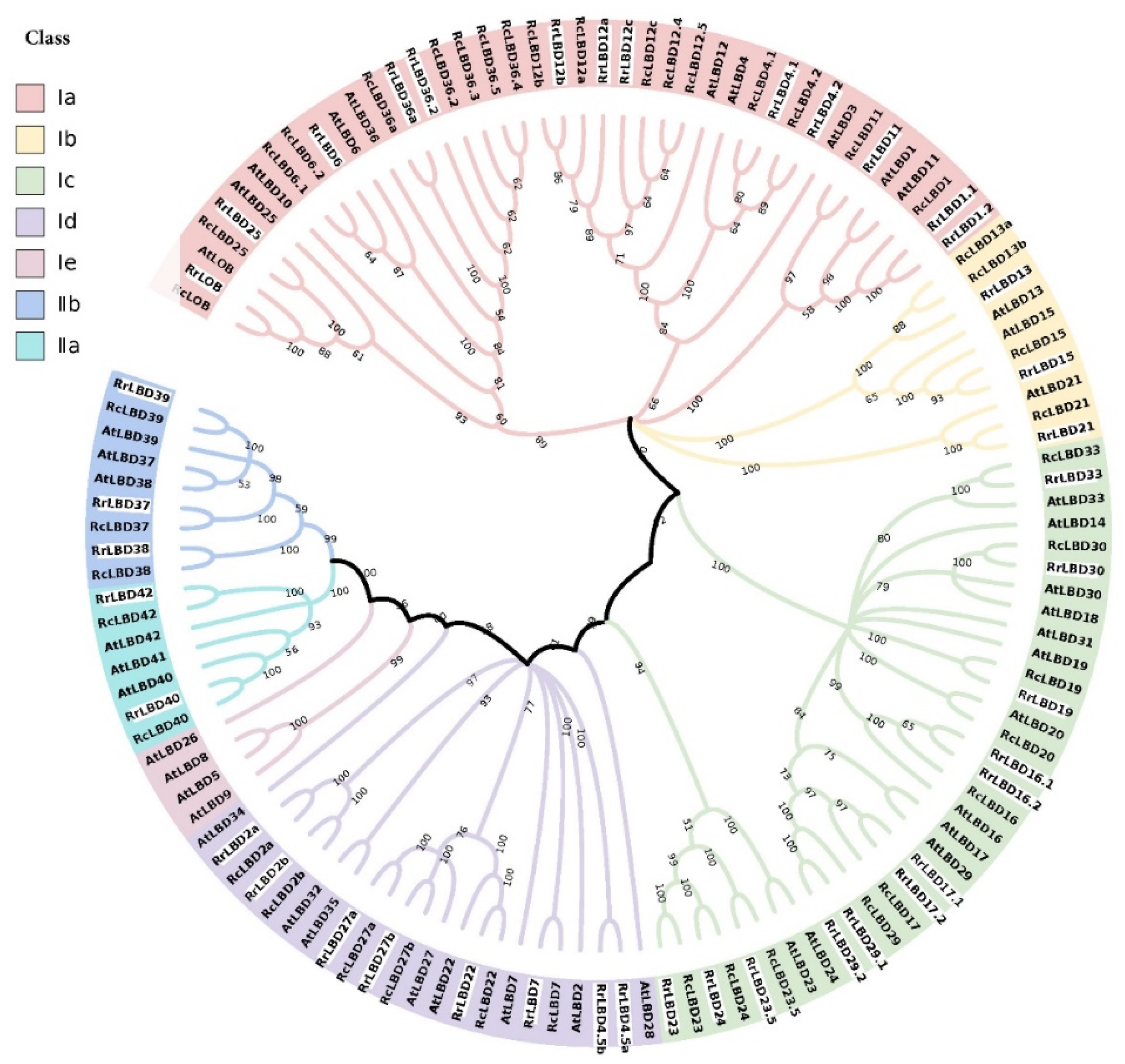 Biology 10 00992 g001
