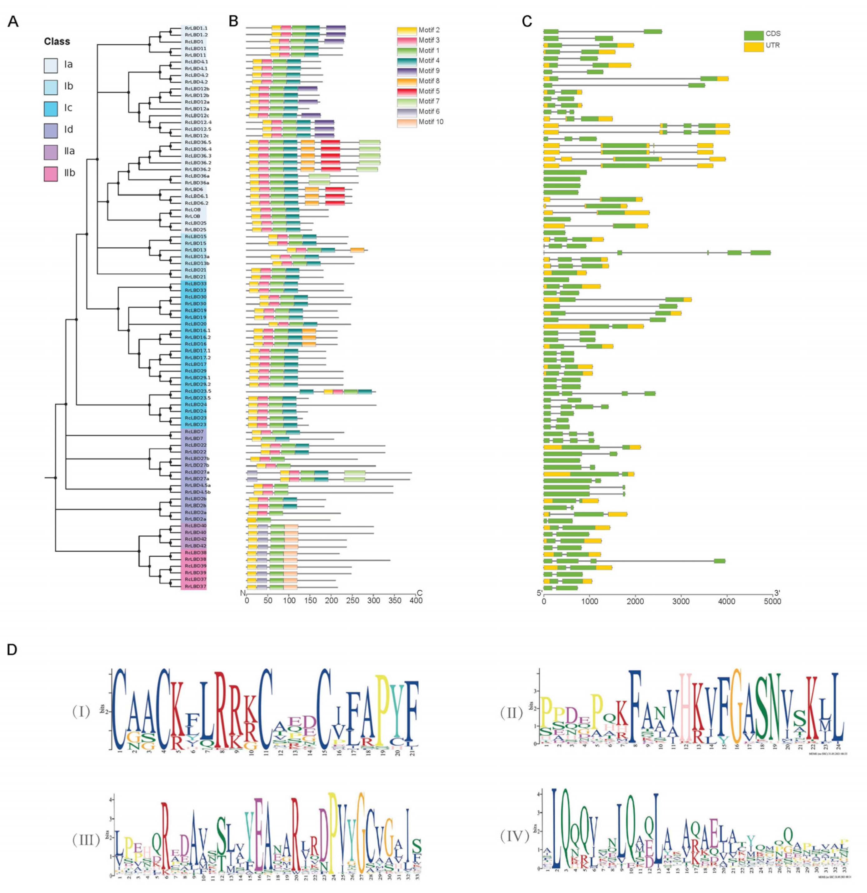 Biology 10 00992 g002