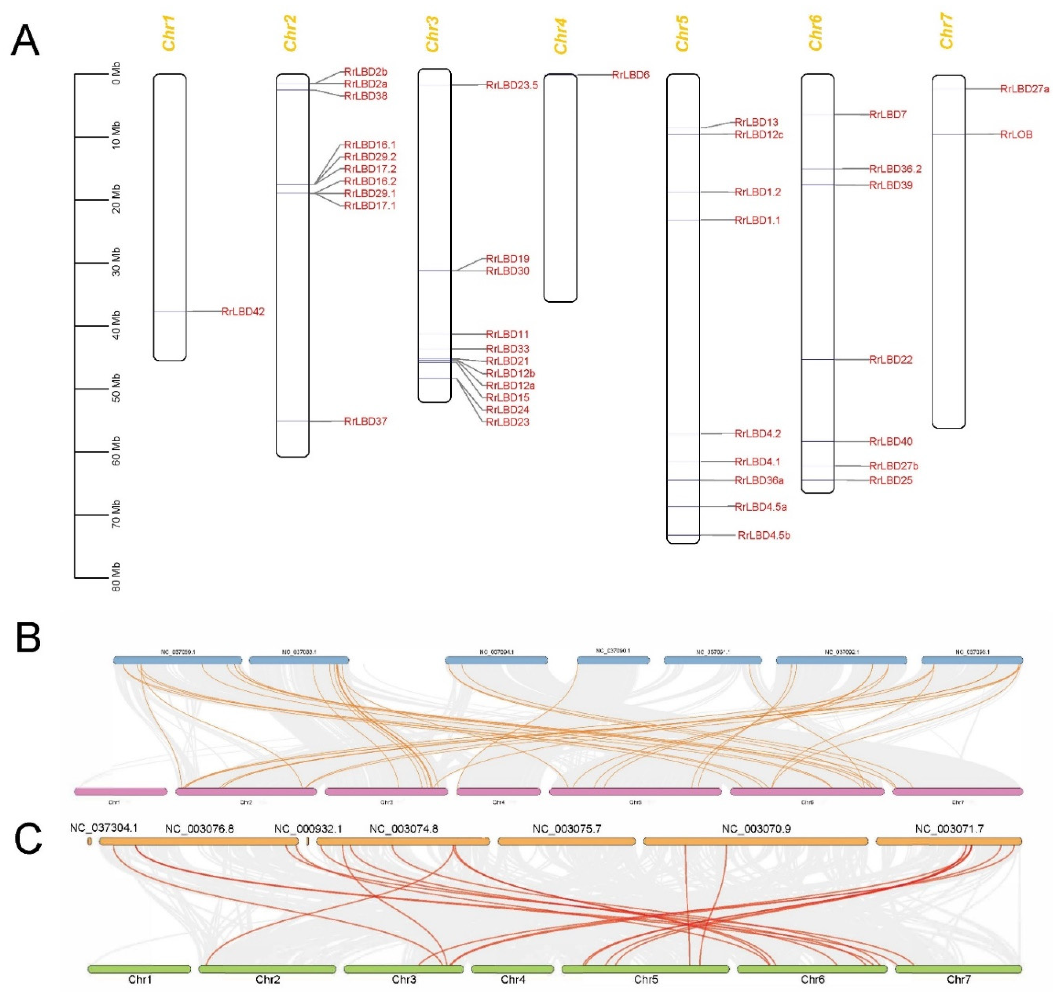 Biology 10 00992 g003