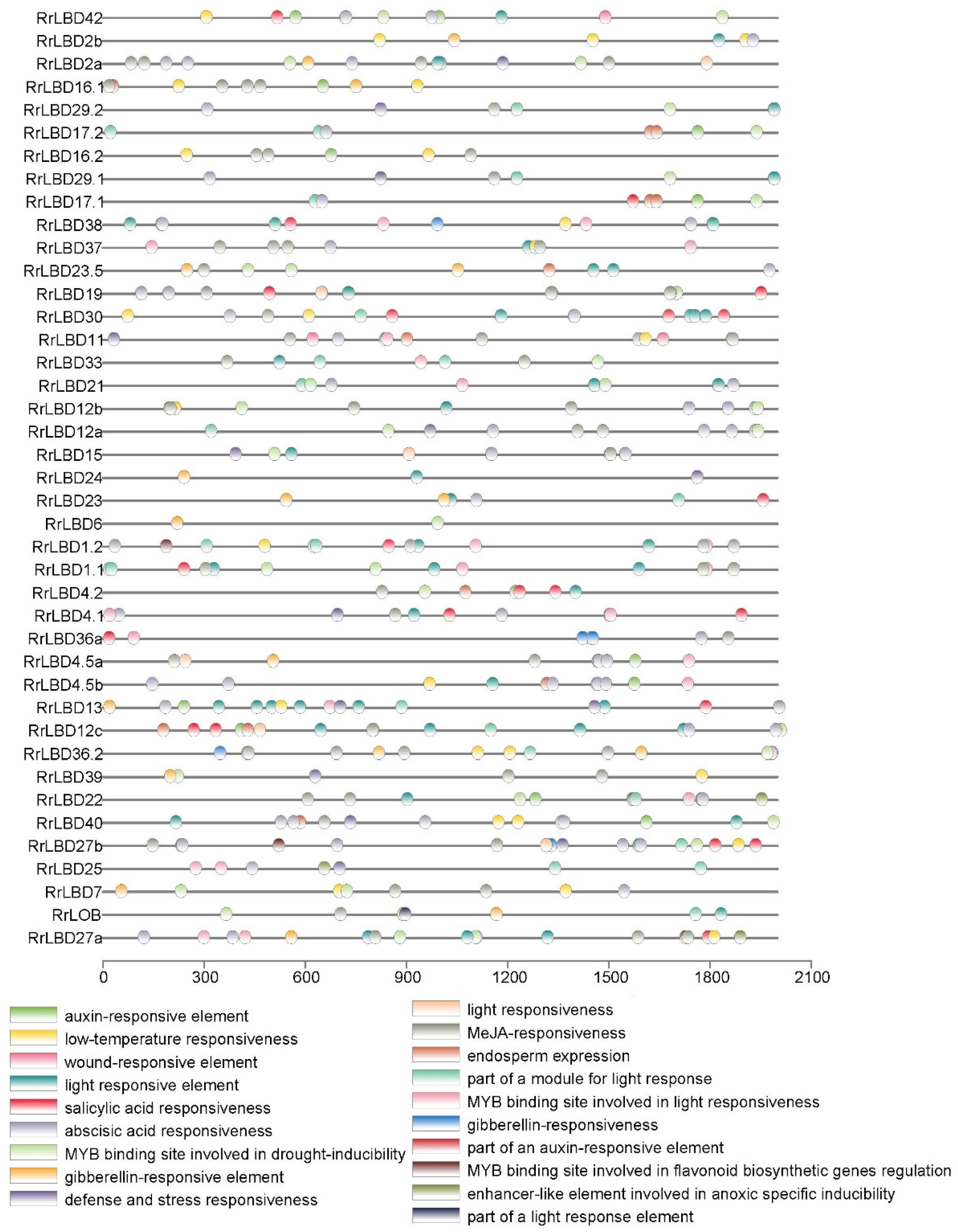 Biology 10 00992 g004