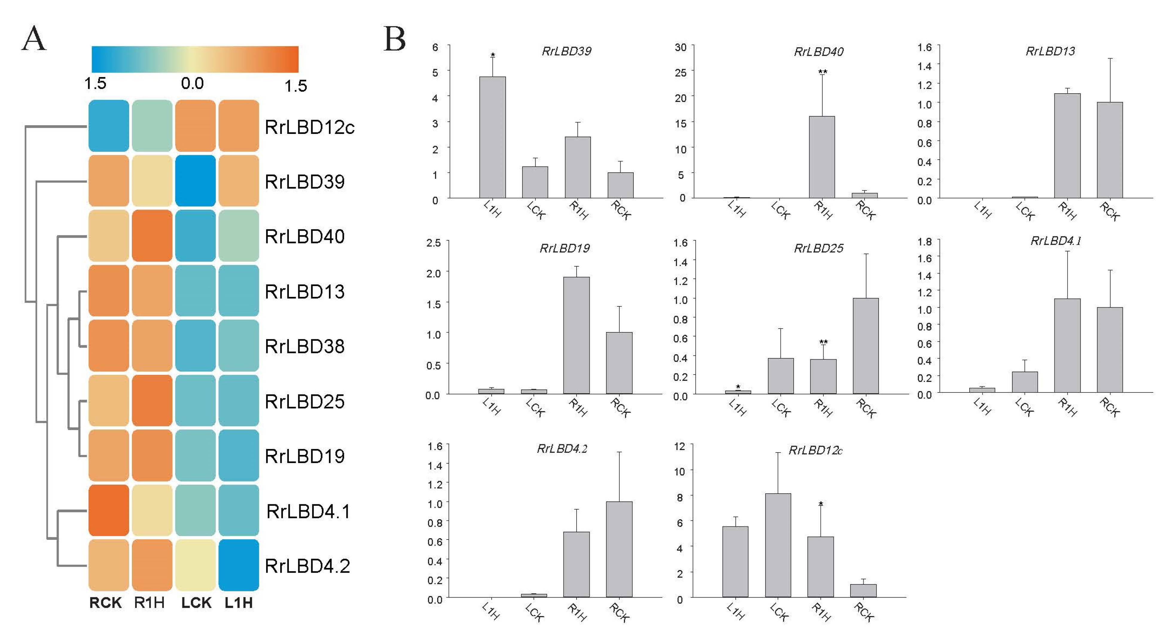 Biology 10 00992 g005