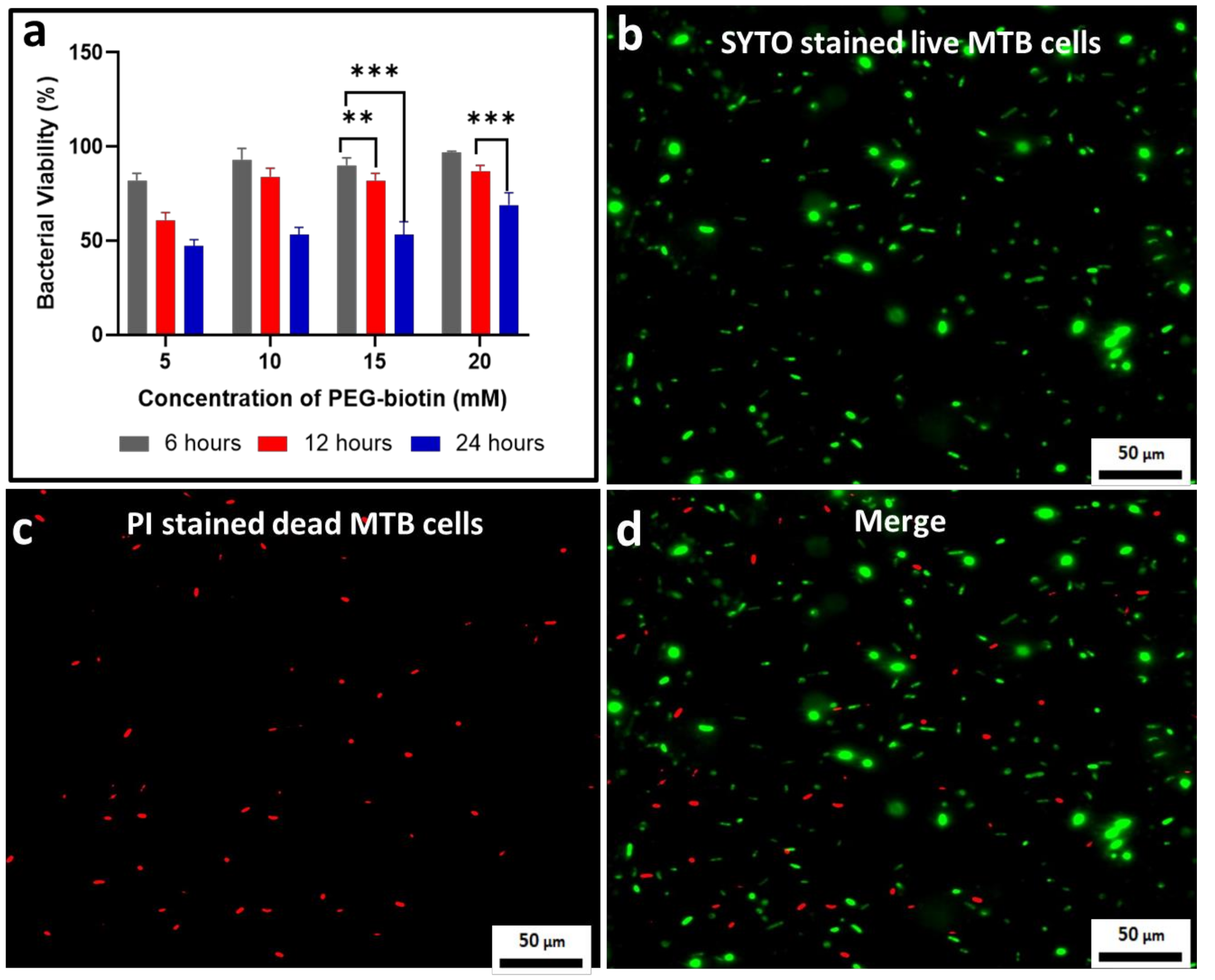 Biology 10 00993 g004