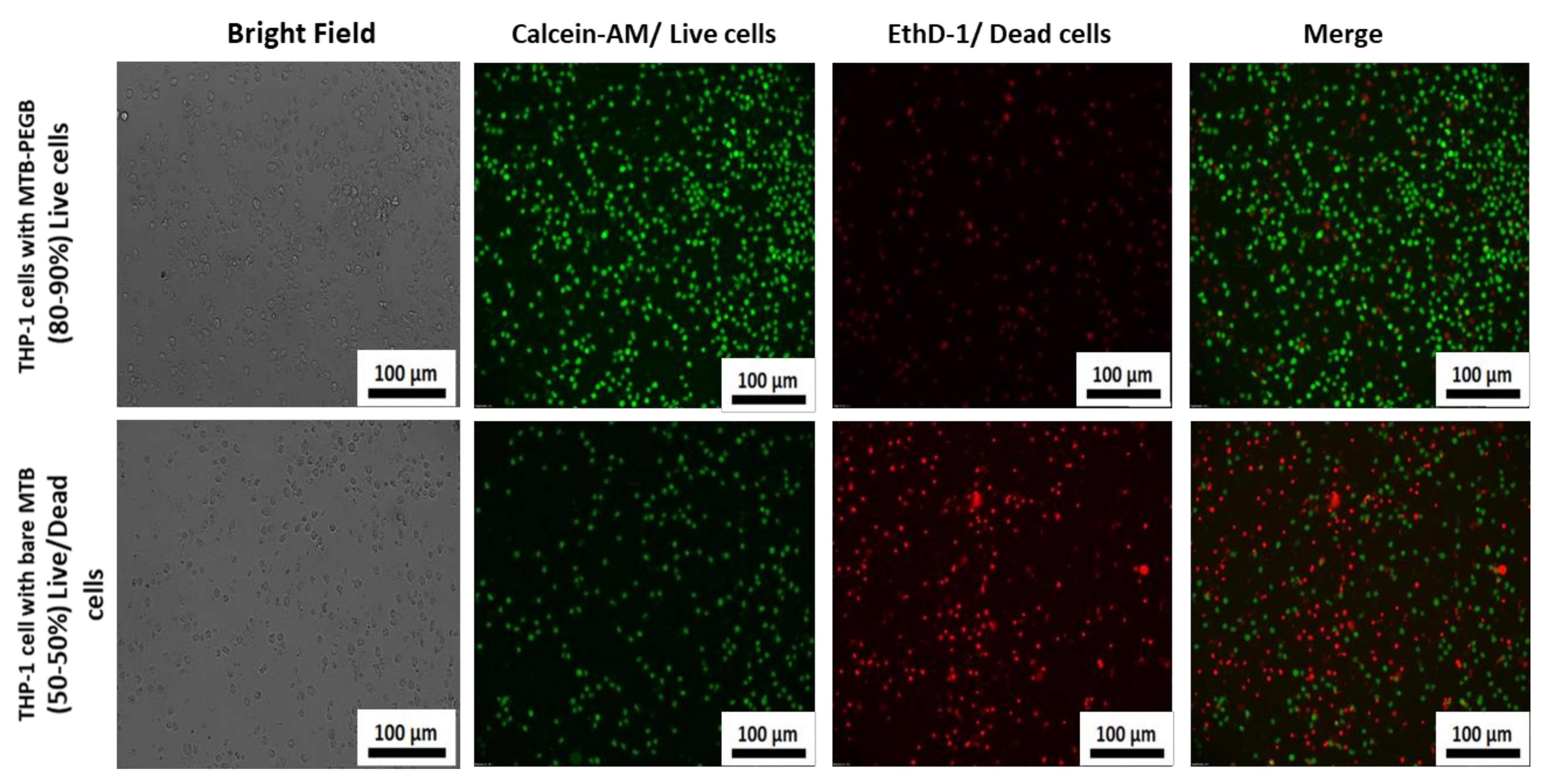 Biology 10 00993 g006