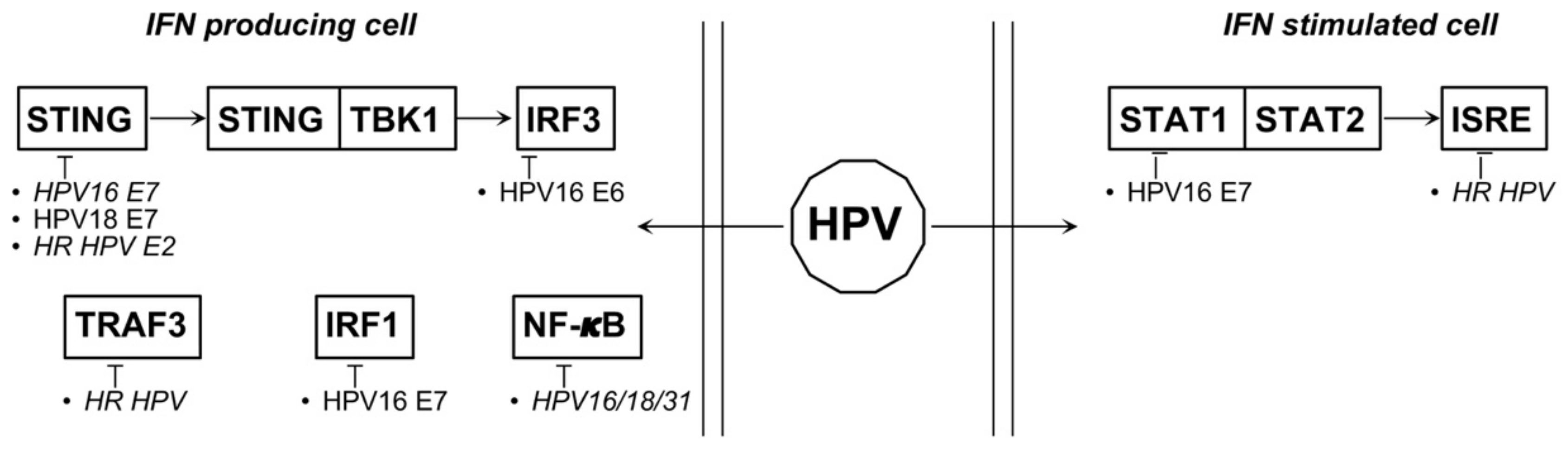 Biology 10 00994 g002