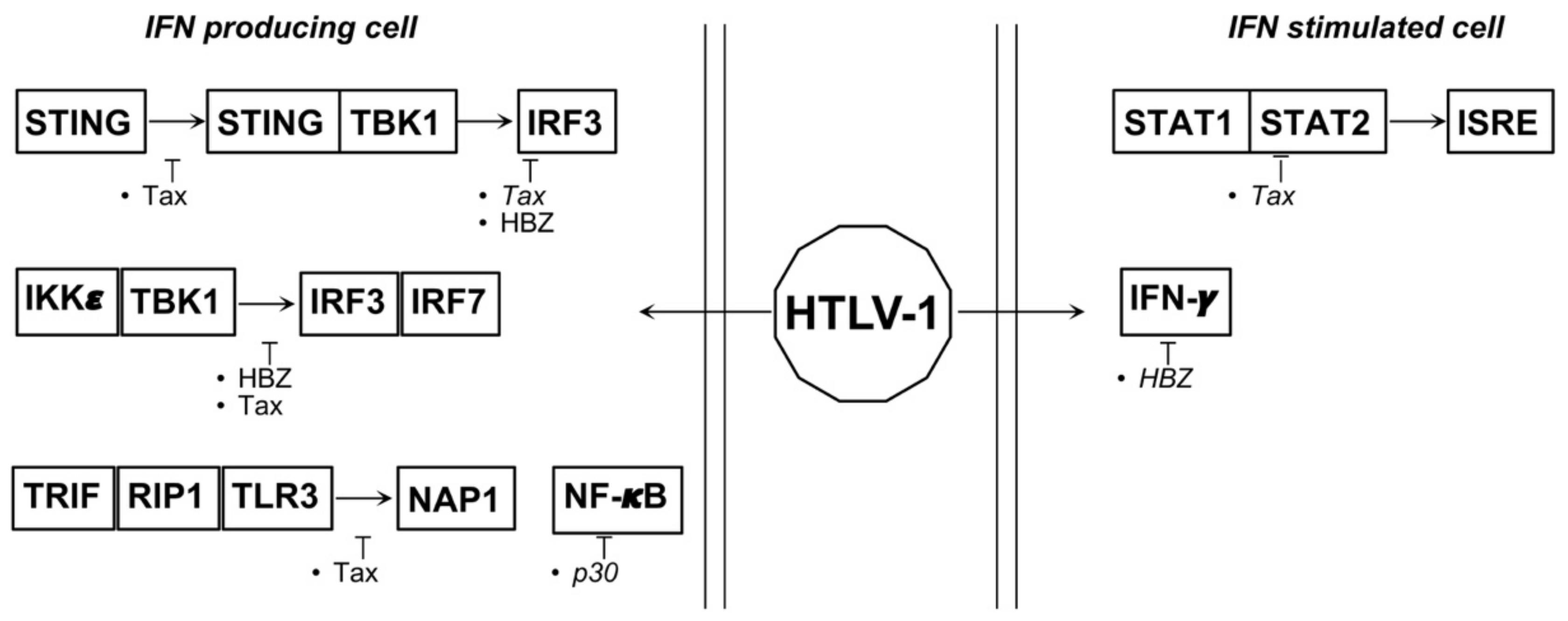 Biology 10 00994 g003