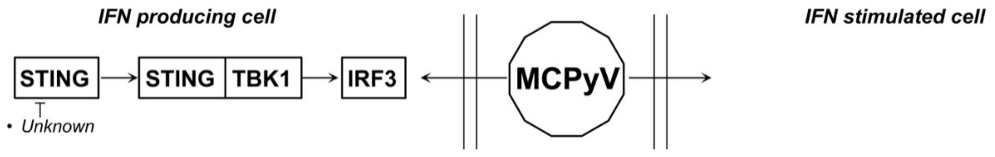 Biology 10 00994 g004