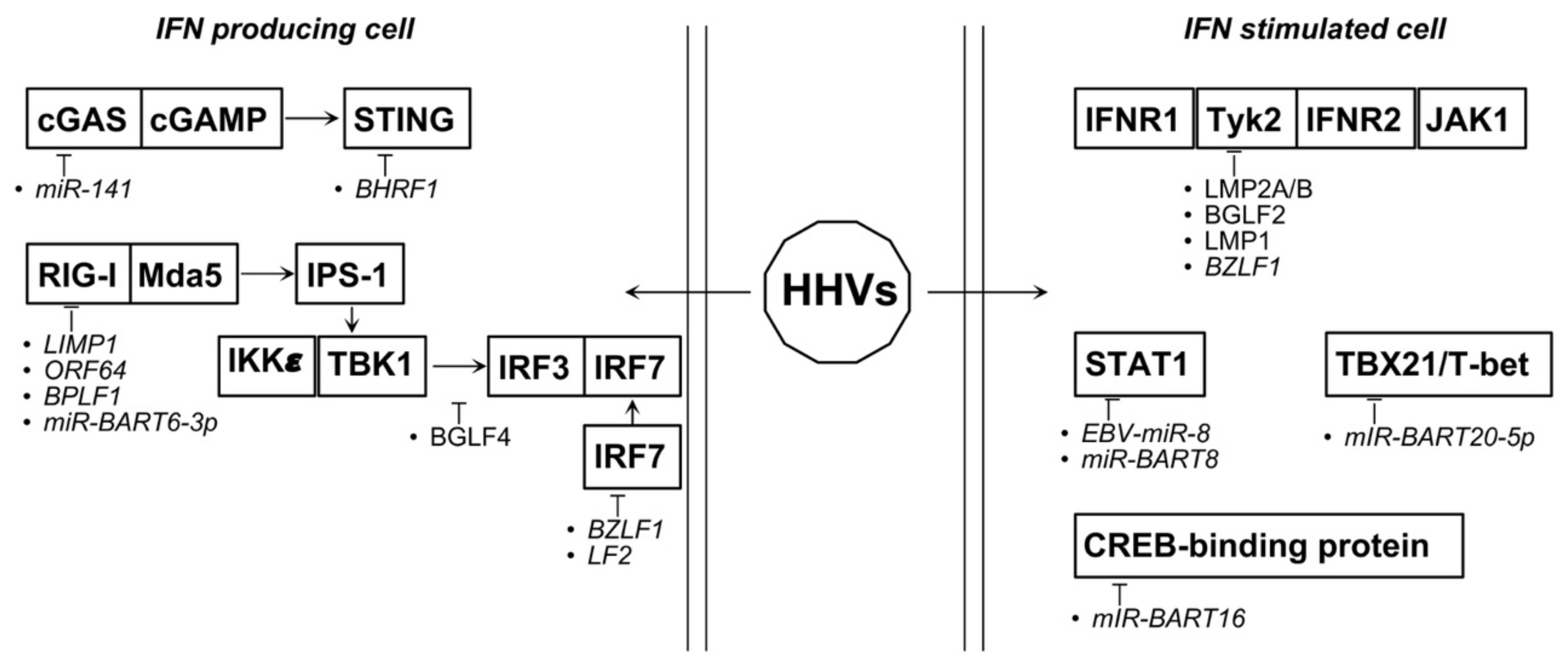 Biology 10 00994 g005