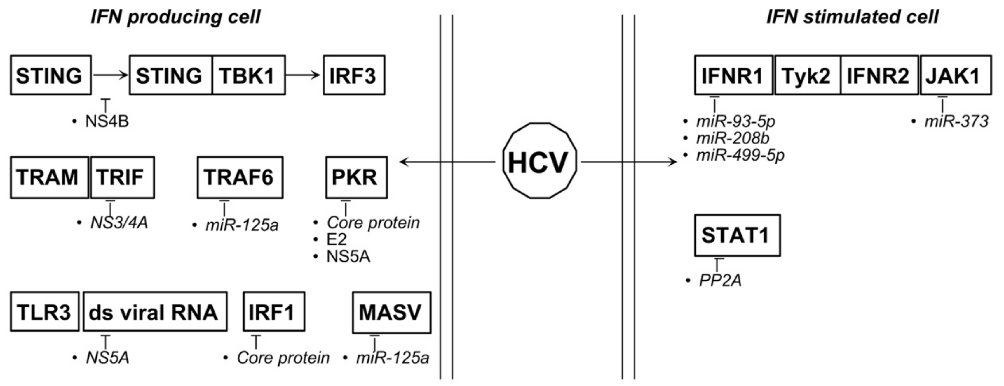 Biology 10 00994 g007