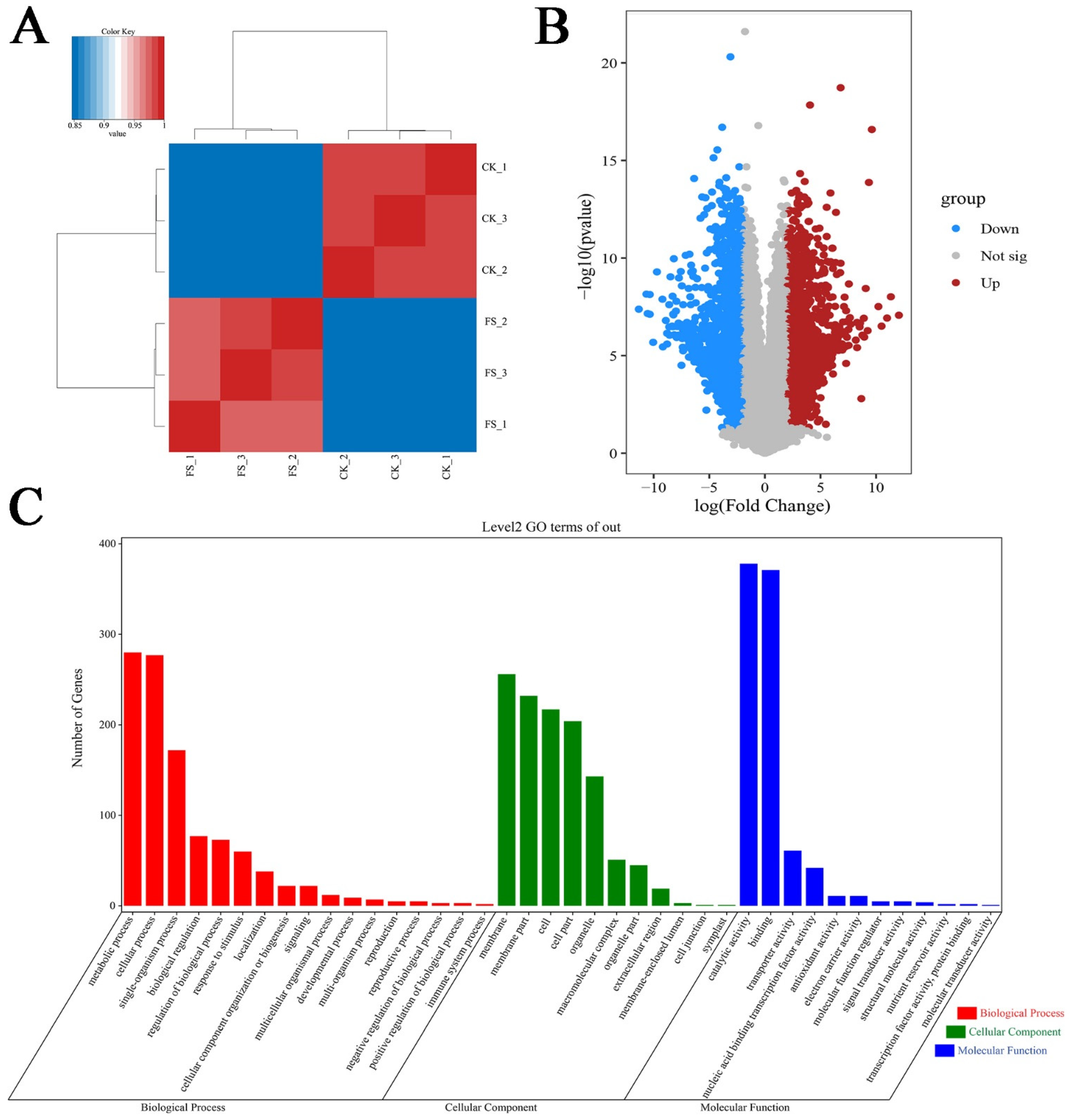 Biology 10 00996 g001 550